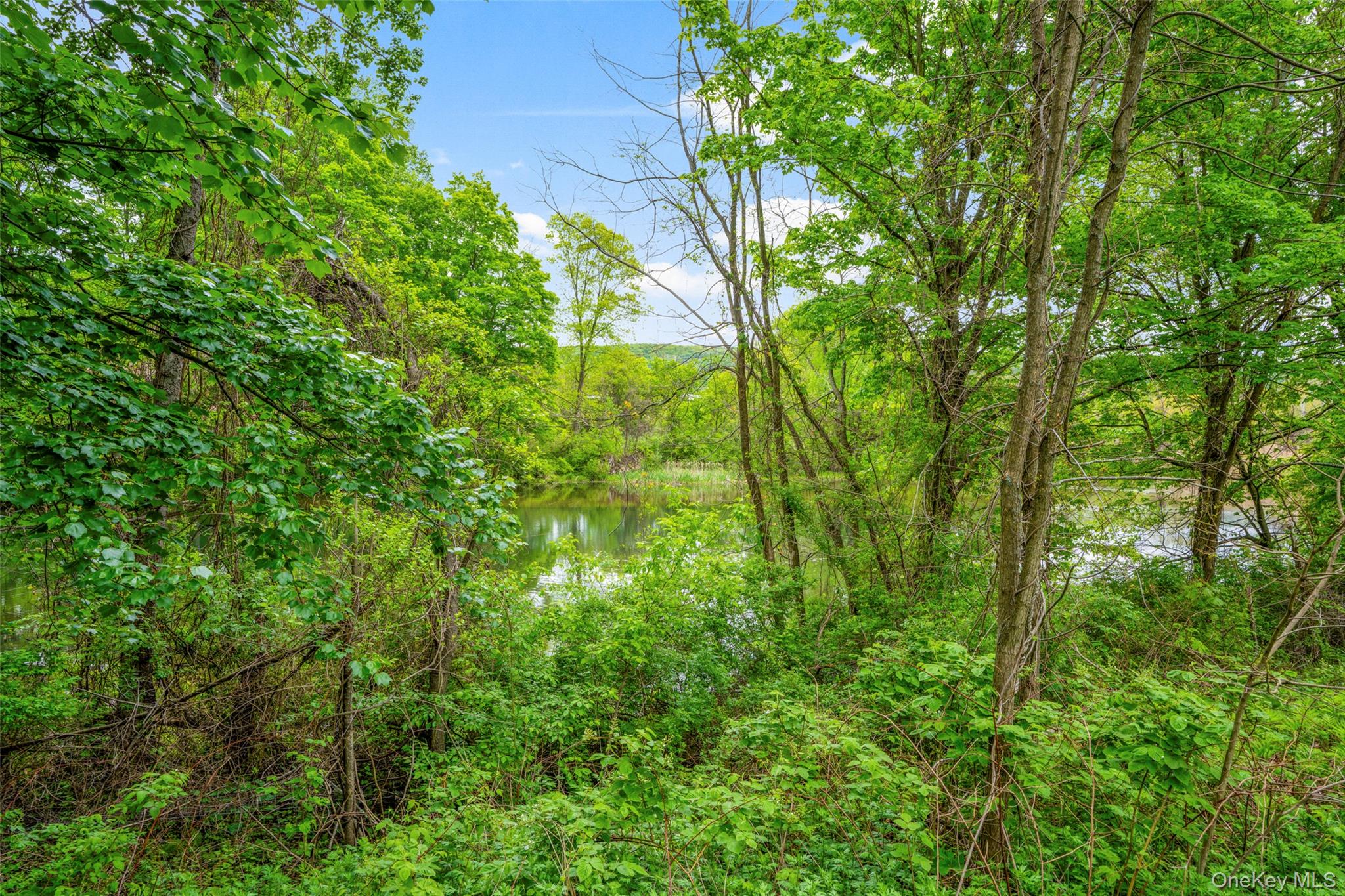 40 Burts Path Property Photo 45
