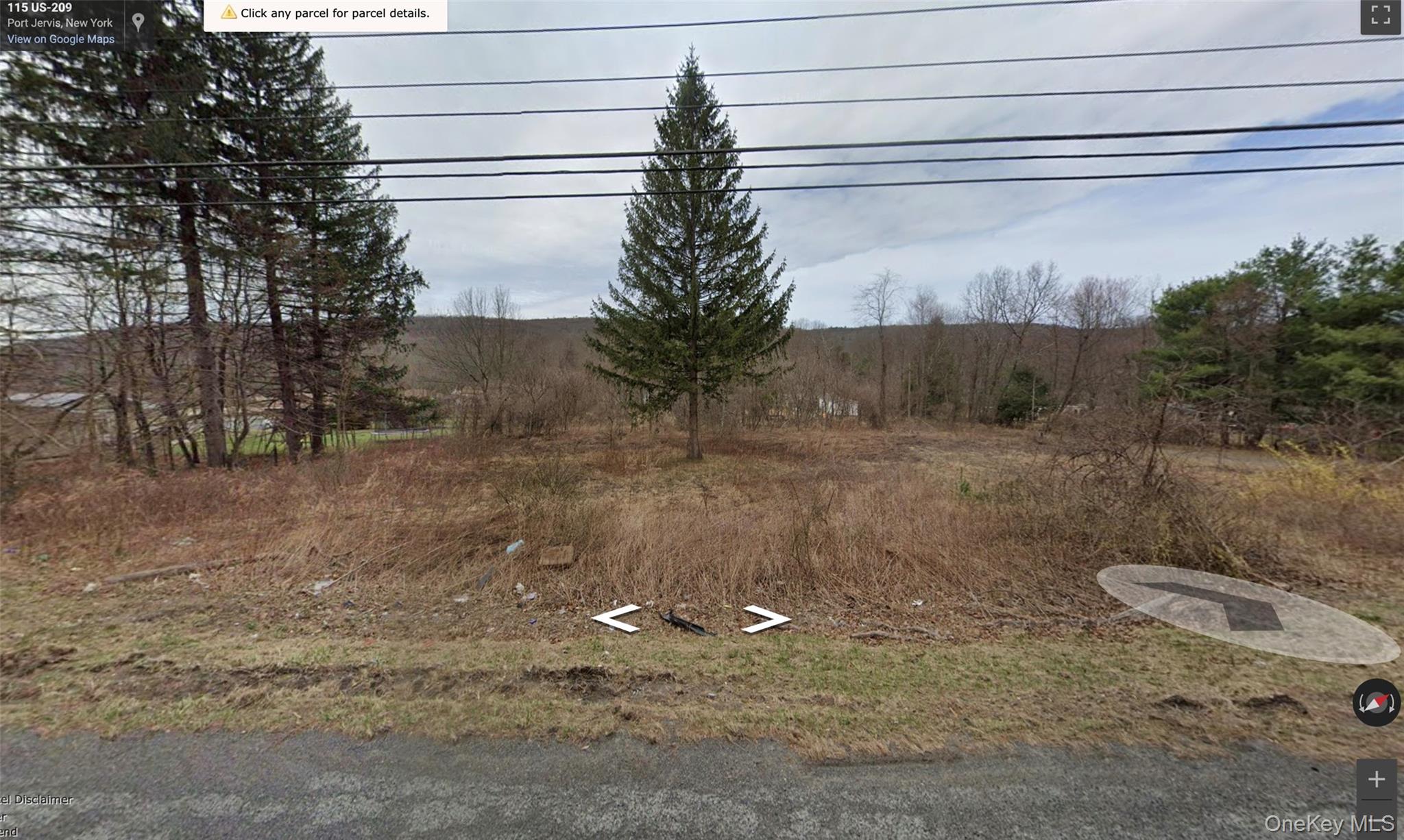 113 Route 209 Property Photo 1