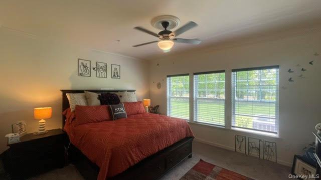 40 Greentree Court Property Photo 16