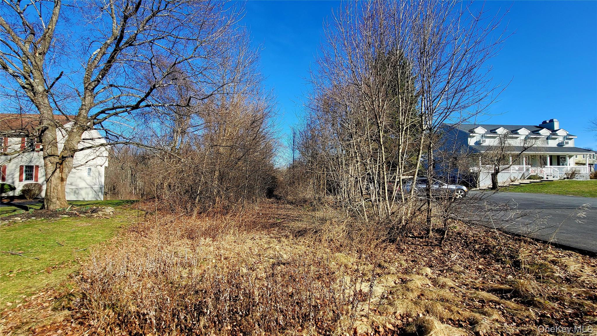 Saddle Ridge Road Property Photo 3