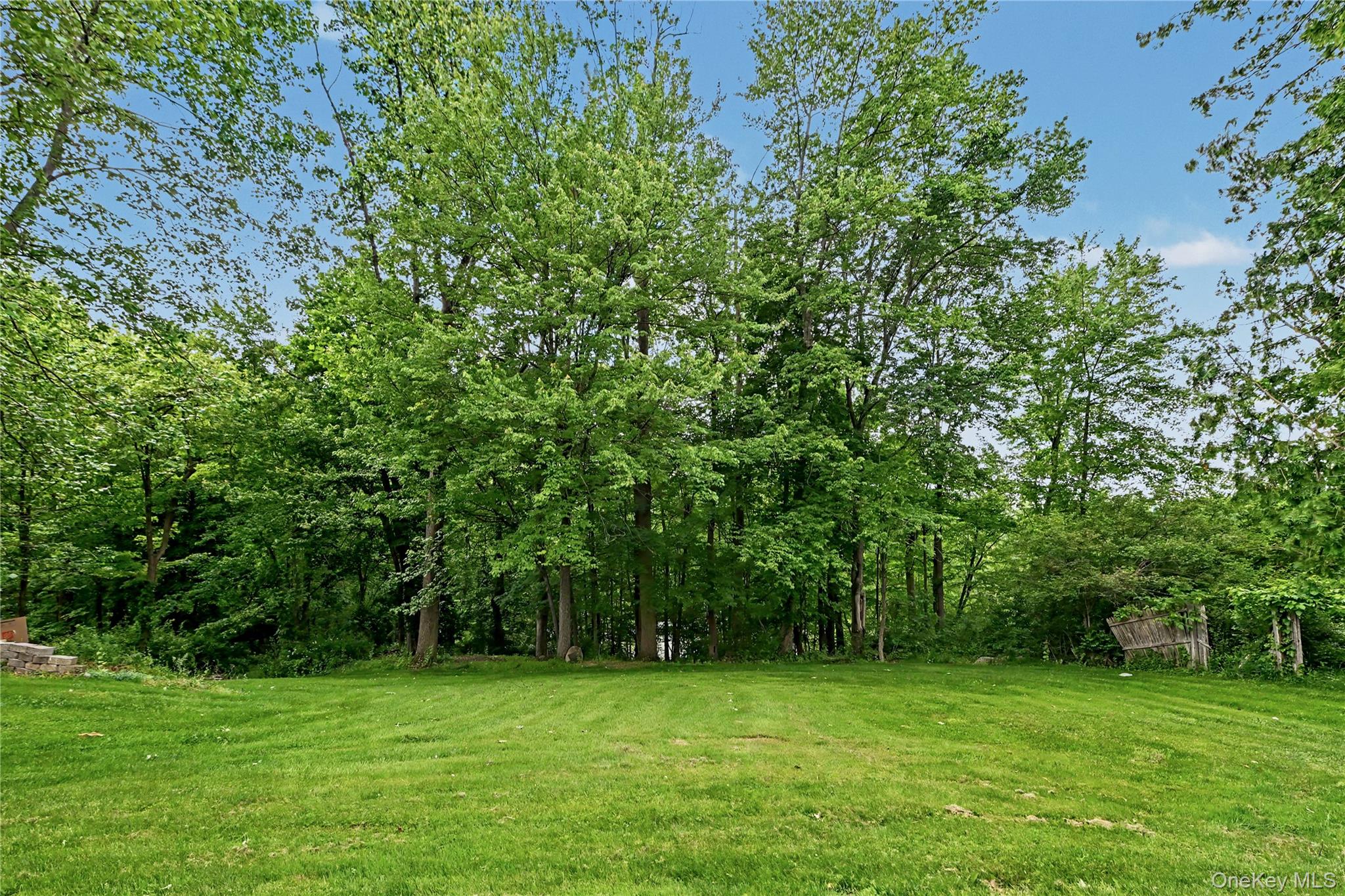 52 Everett Road Property Photo 31