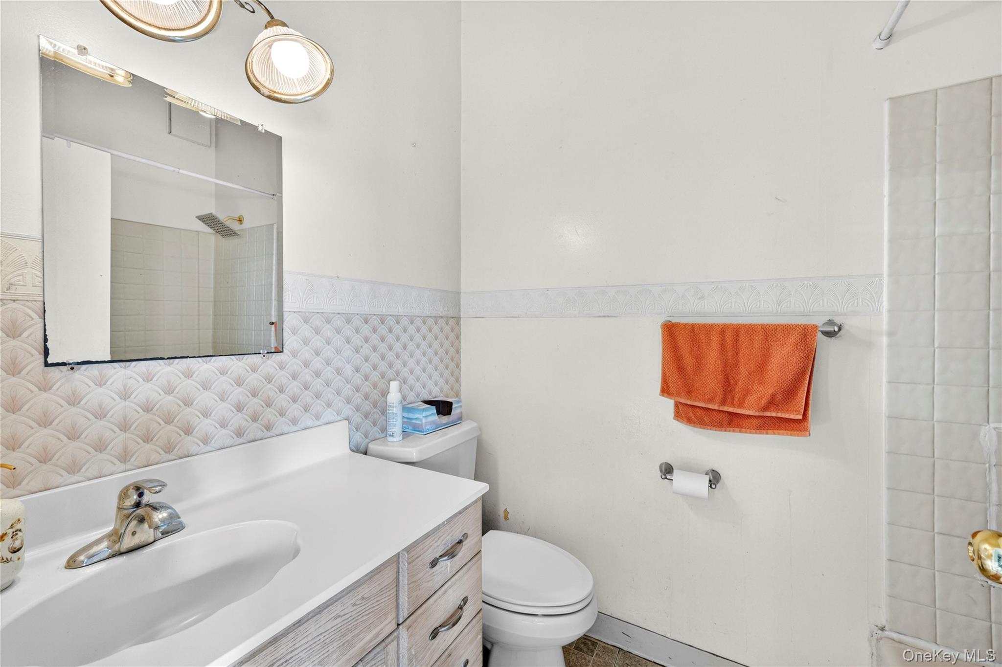 207 New Hyde Park Road Property Photo 12