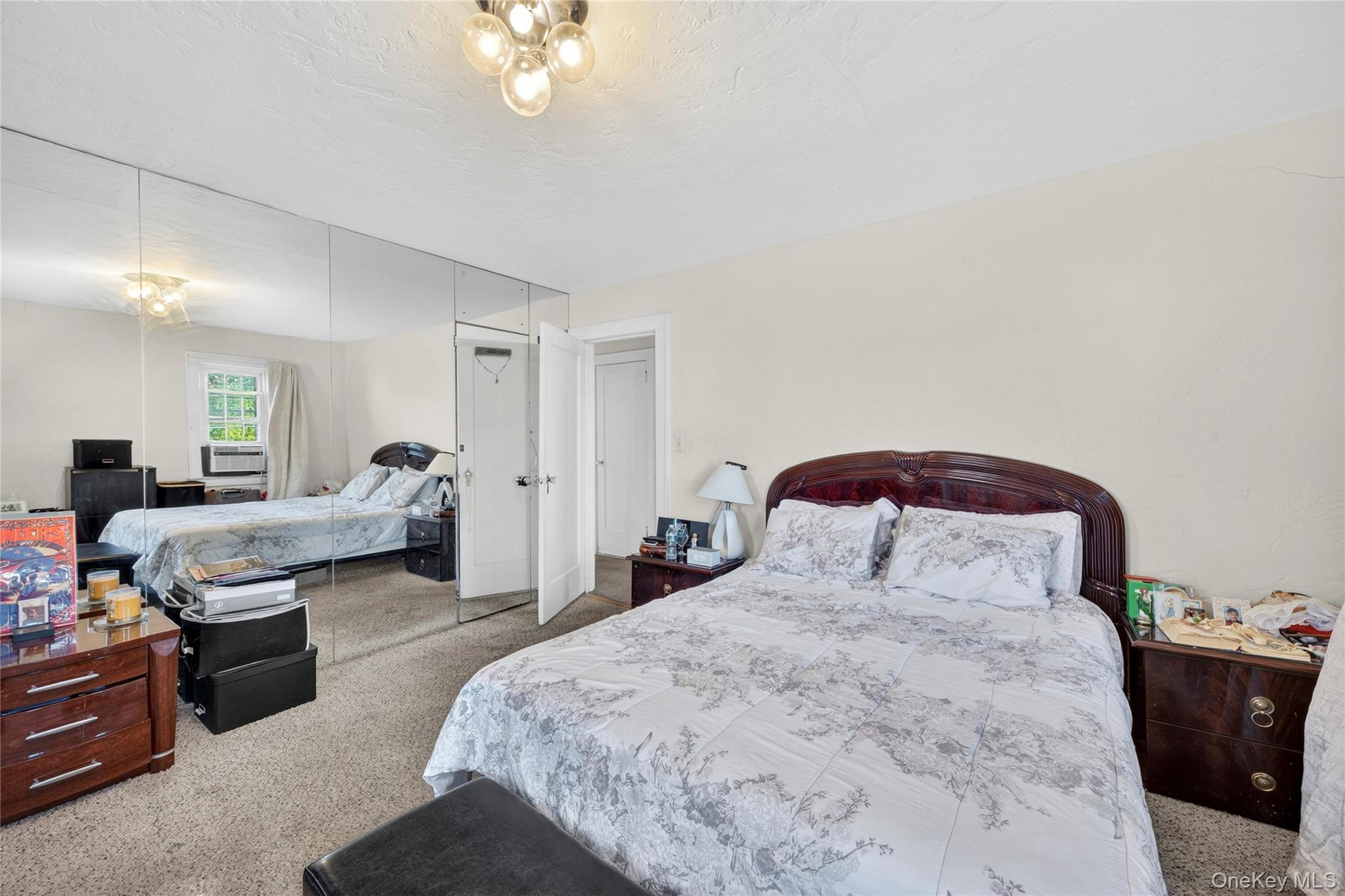 207 New Hyde Park Road Property Photo 13