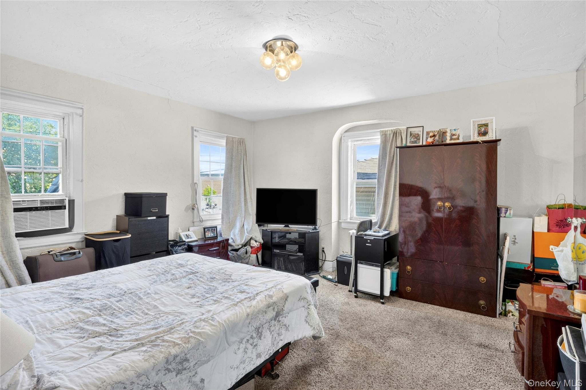 207 New Hyde Park Road Property Photo 14
