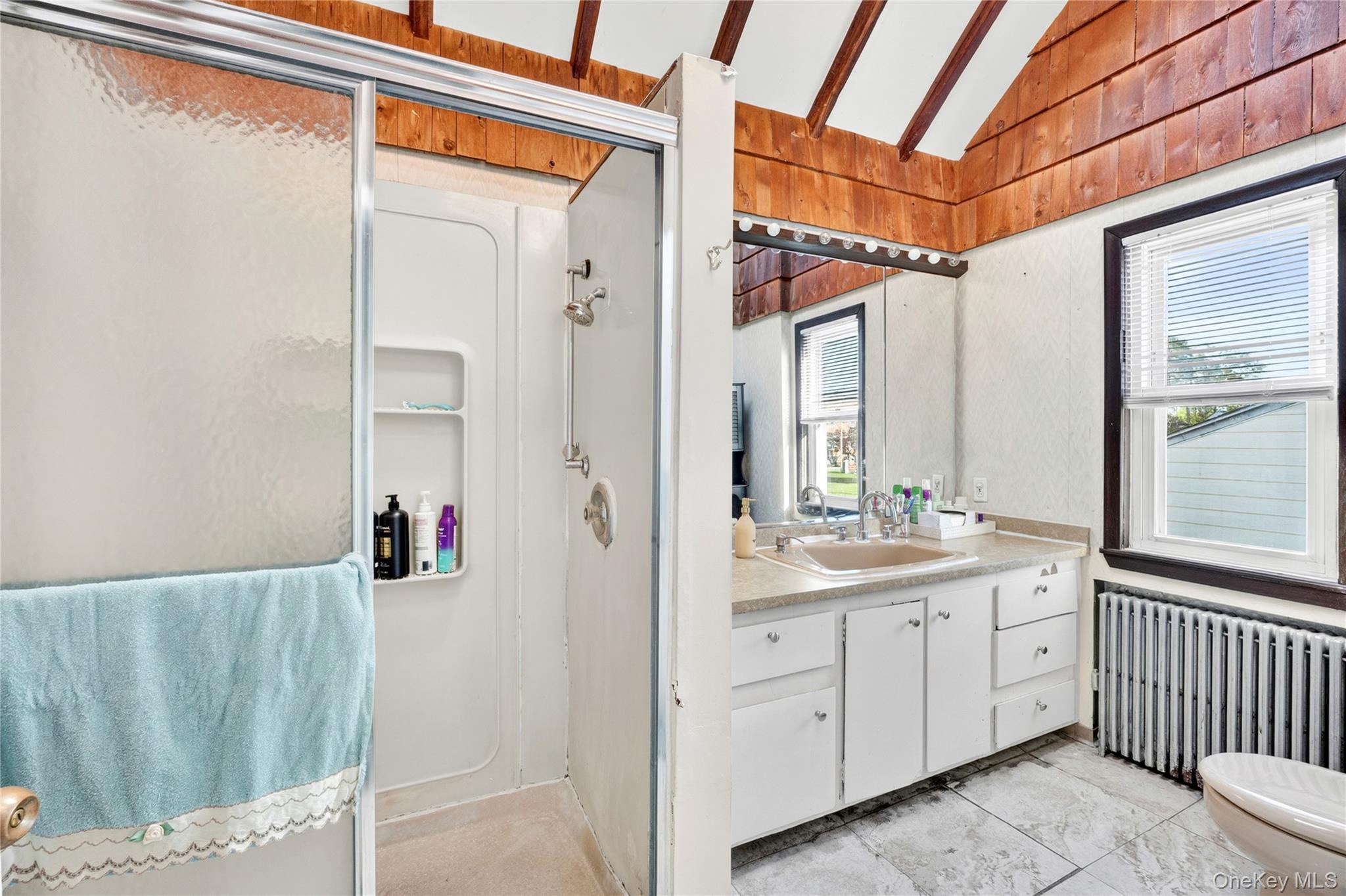 207 New Hyde Park Road Property Photo 15