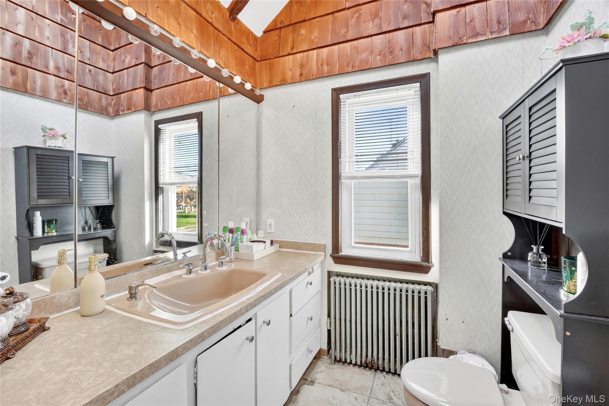 207 New Hyde Park Road Property Photo 16