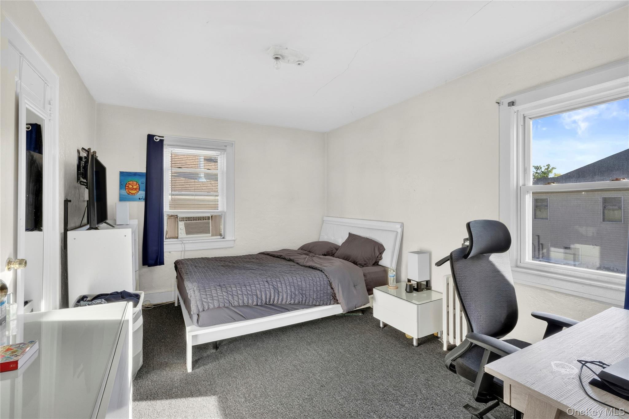 207 New Hyde Park Road Property Photo 18