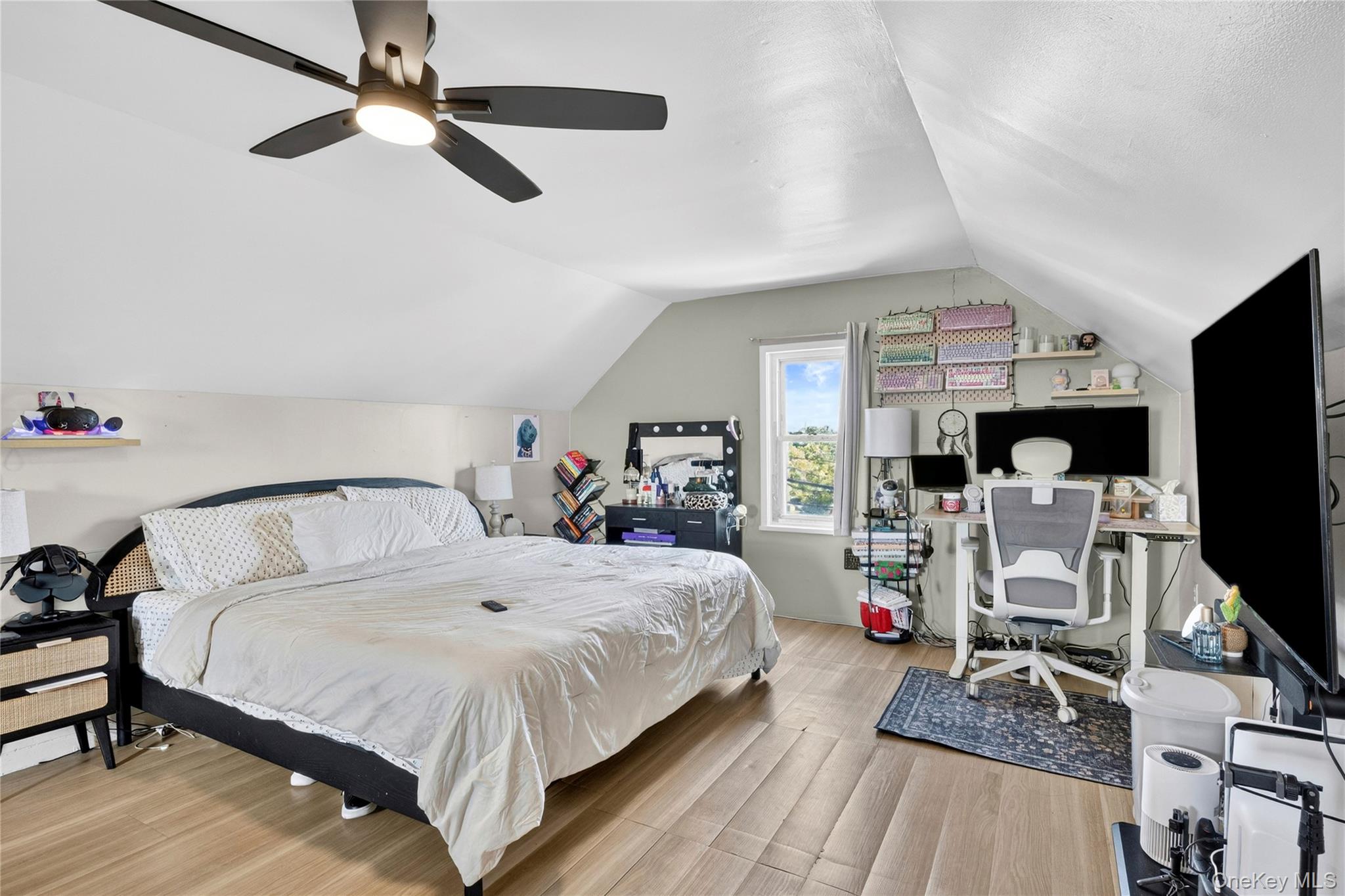 207 New Hyde Park Road Property Photo 19