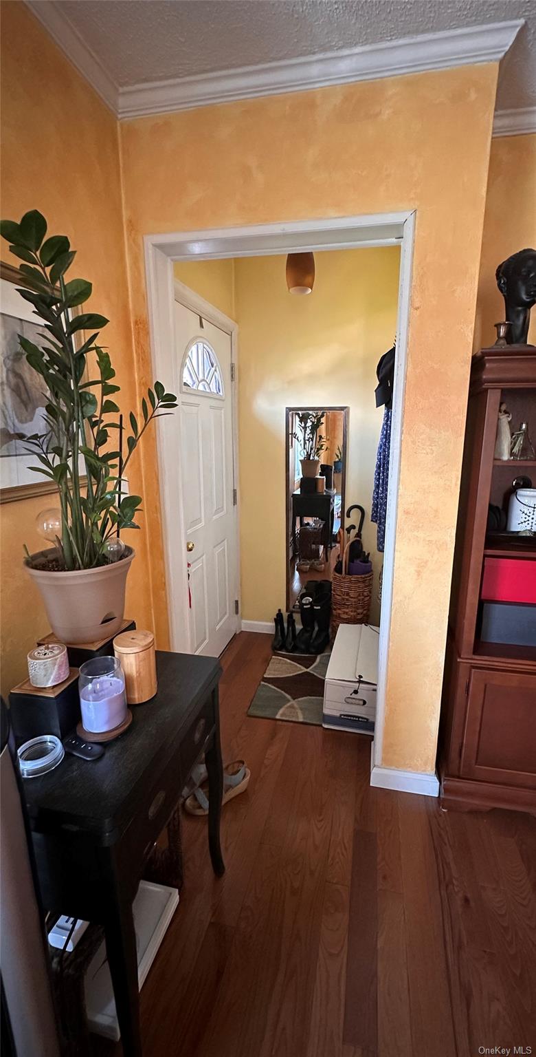 568 Irving Street Property Photo 8