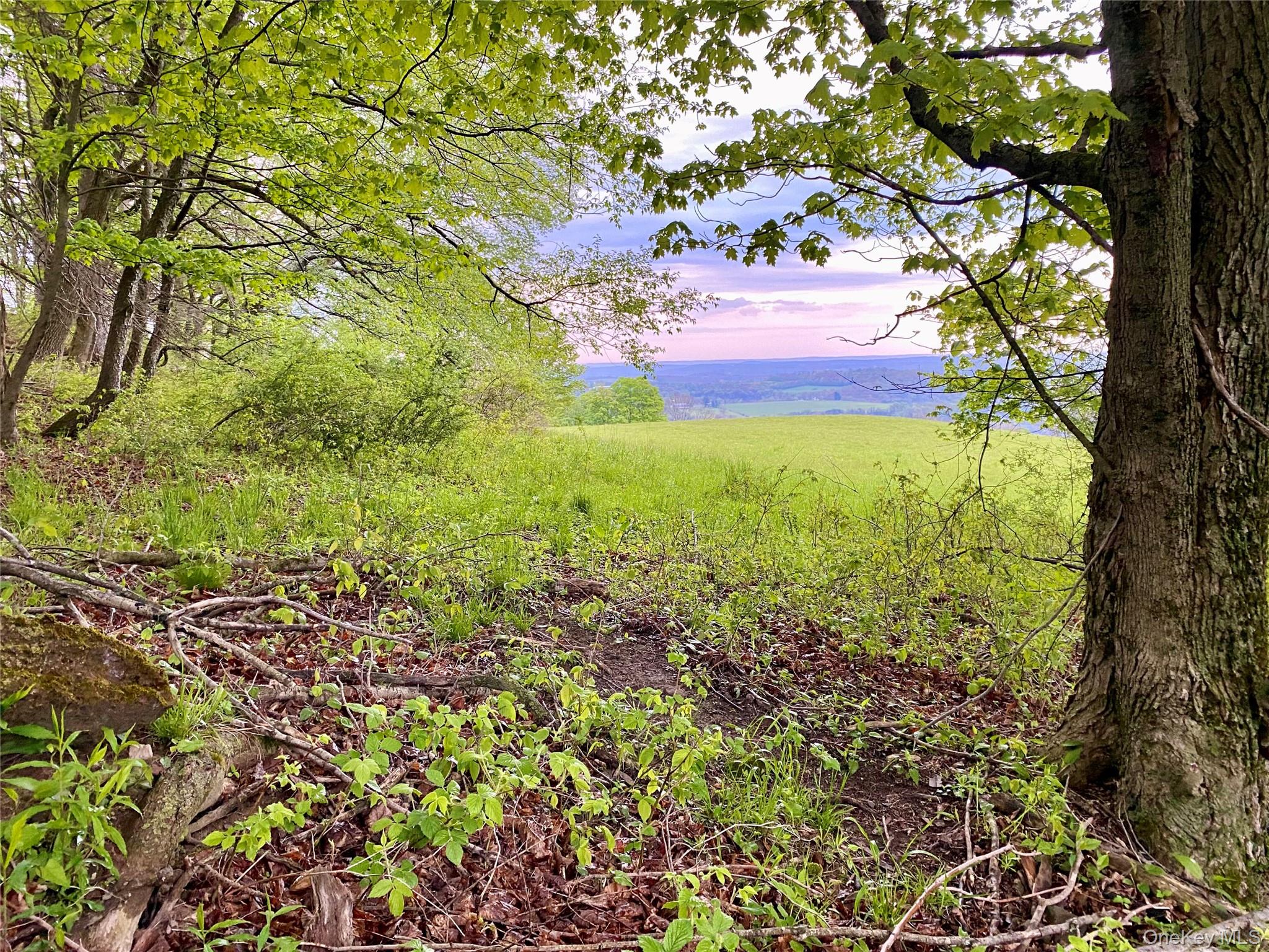 301 & 305 Hust Road Hust Property Photo 1