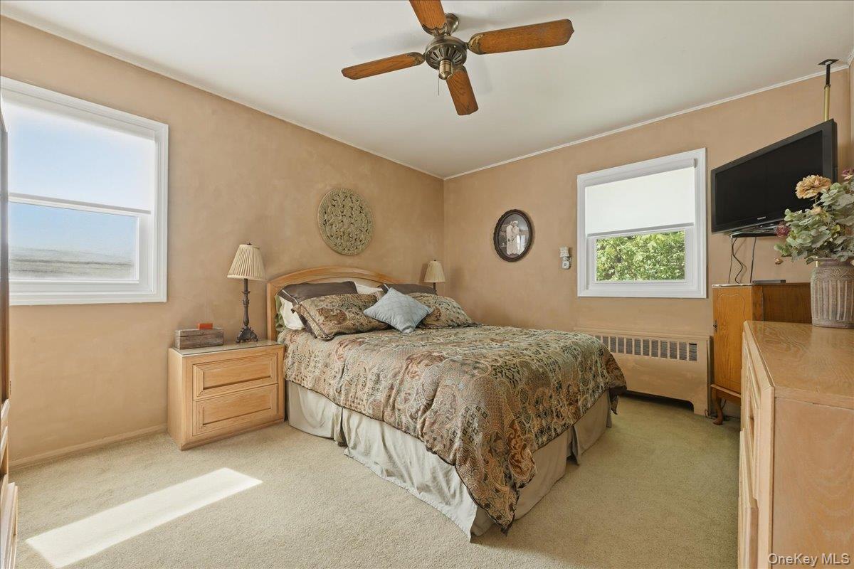 5 Hastings Road Property Photo 19