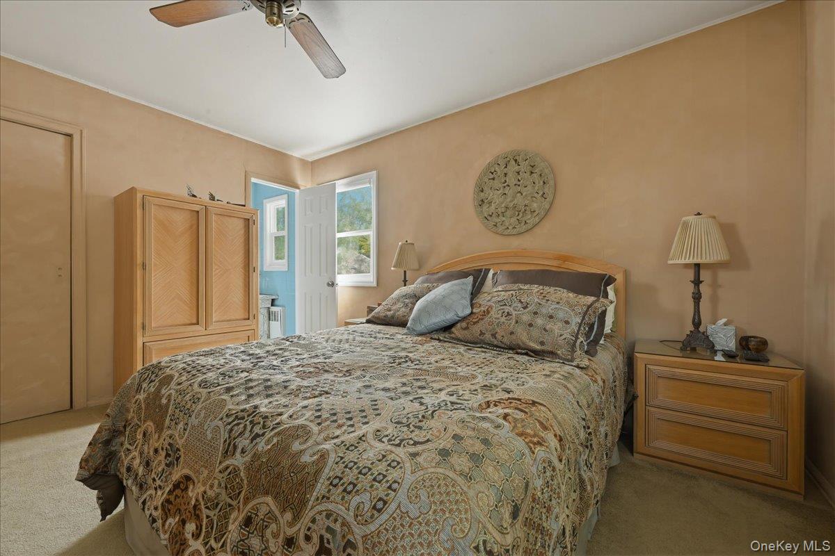 5 Hastings Road Property Photo 20