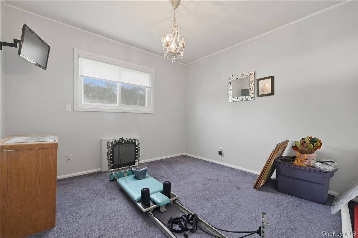 5 Hastings Road Property Photo 23