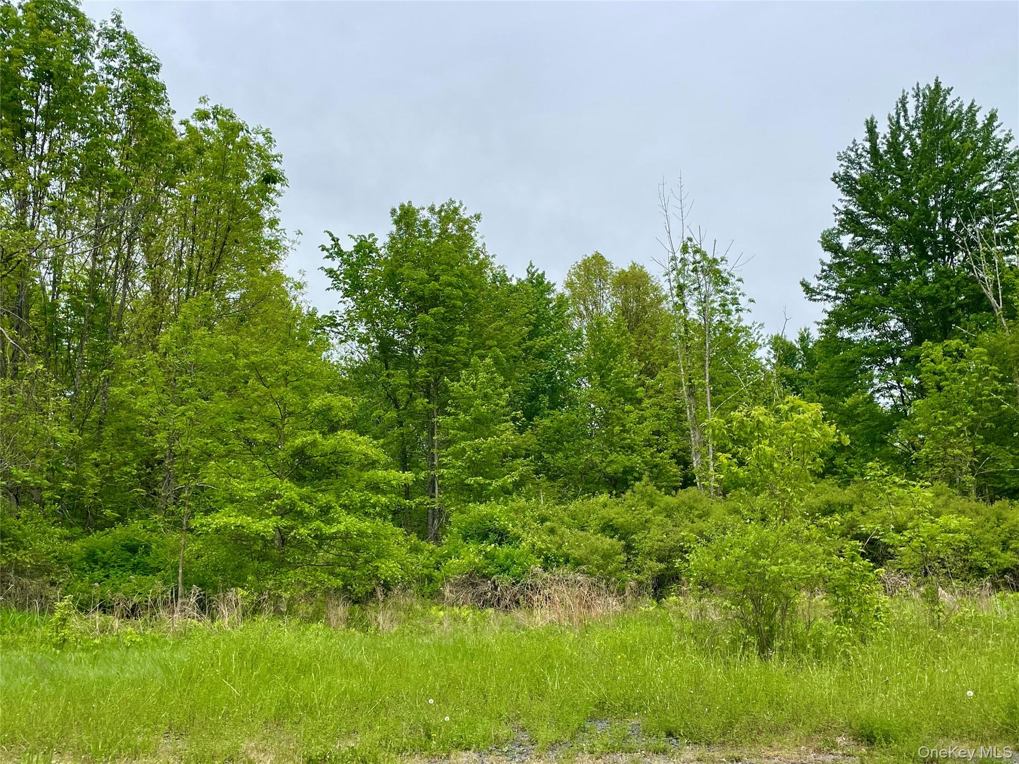 Orchard Drive Property Photo 1