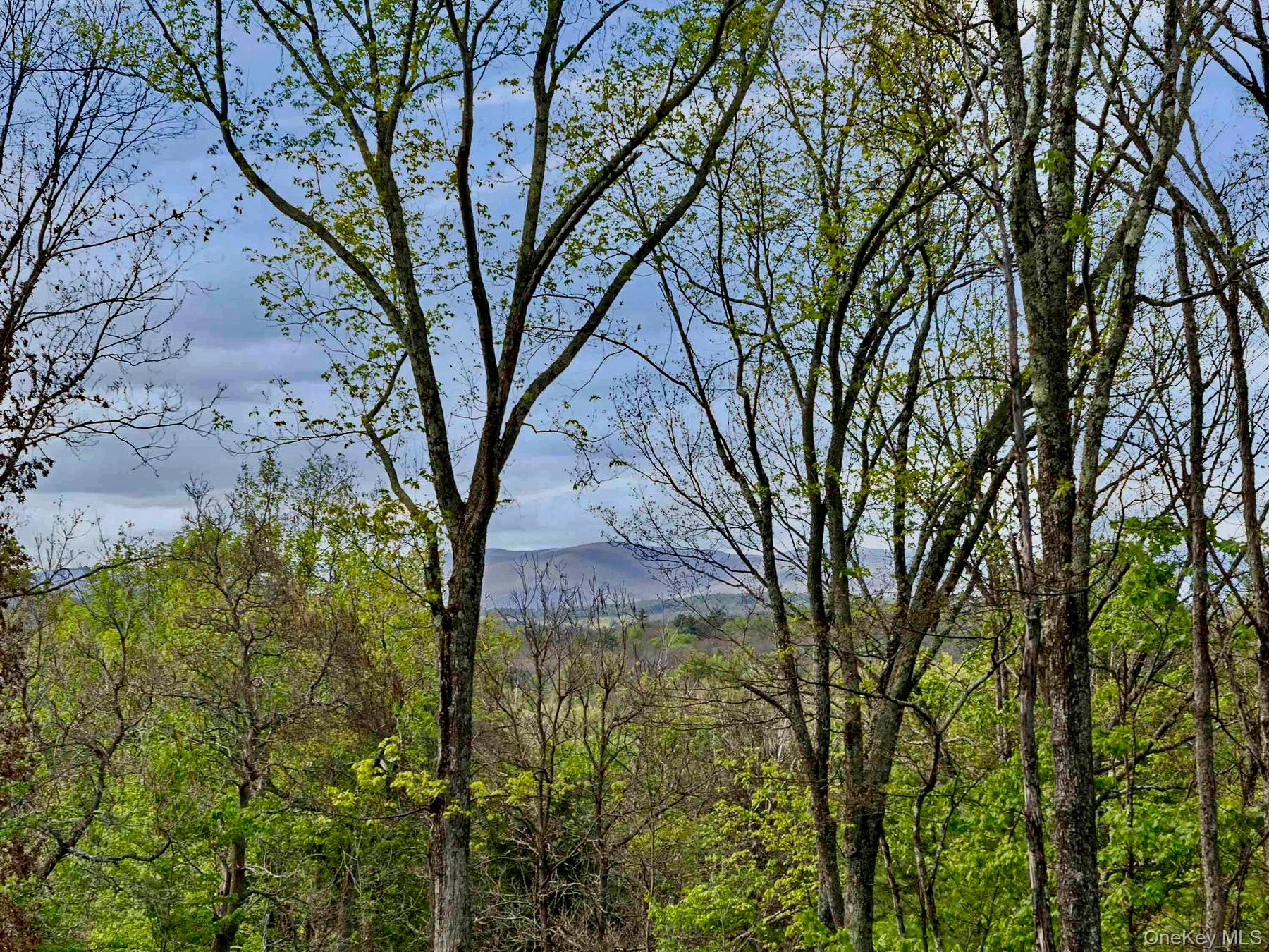 Tbd Route 44/55 Property Photo 1