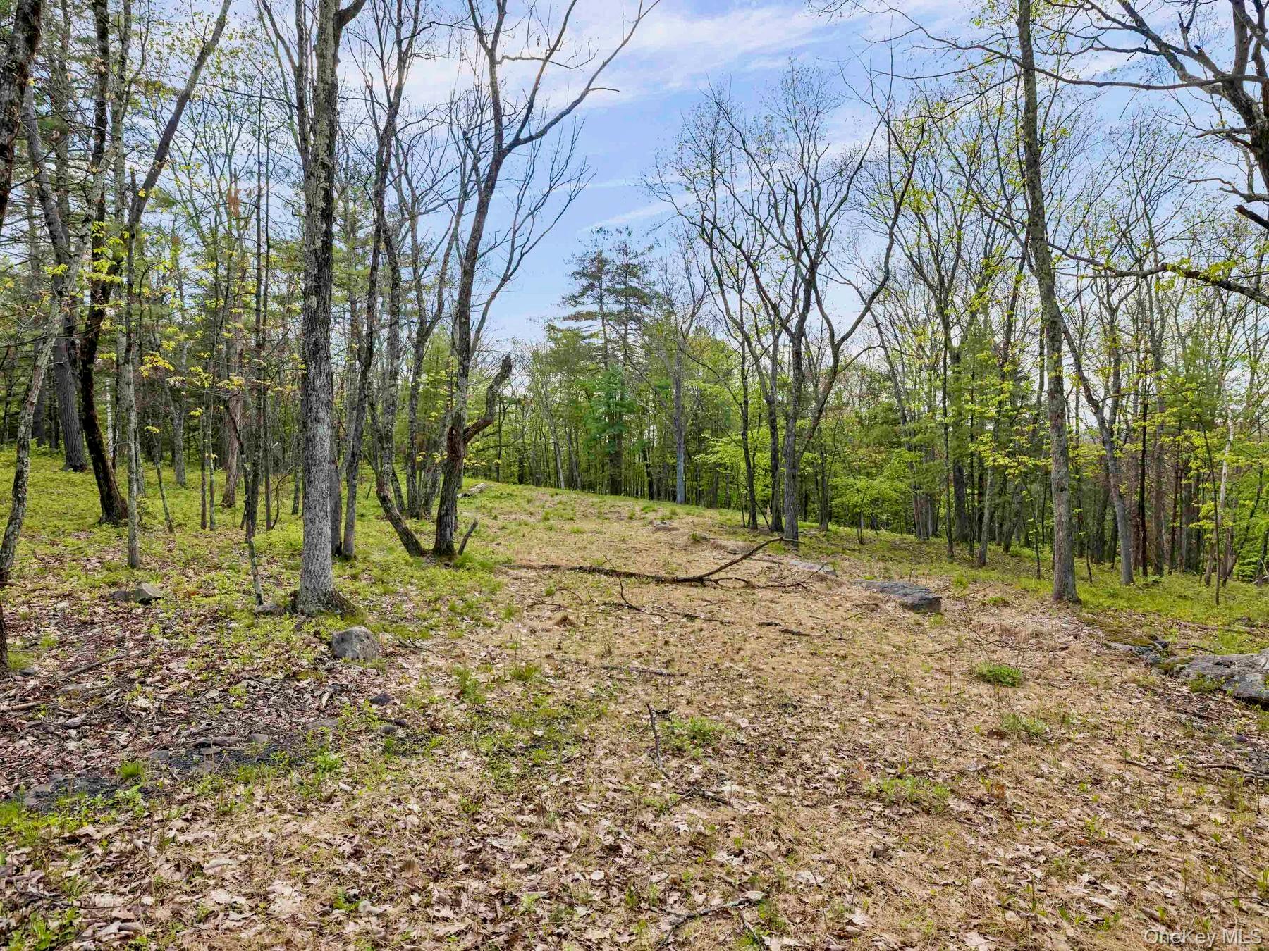 Tbd Route 44/55 Property Photo 2