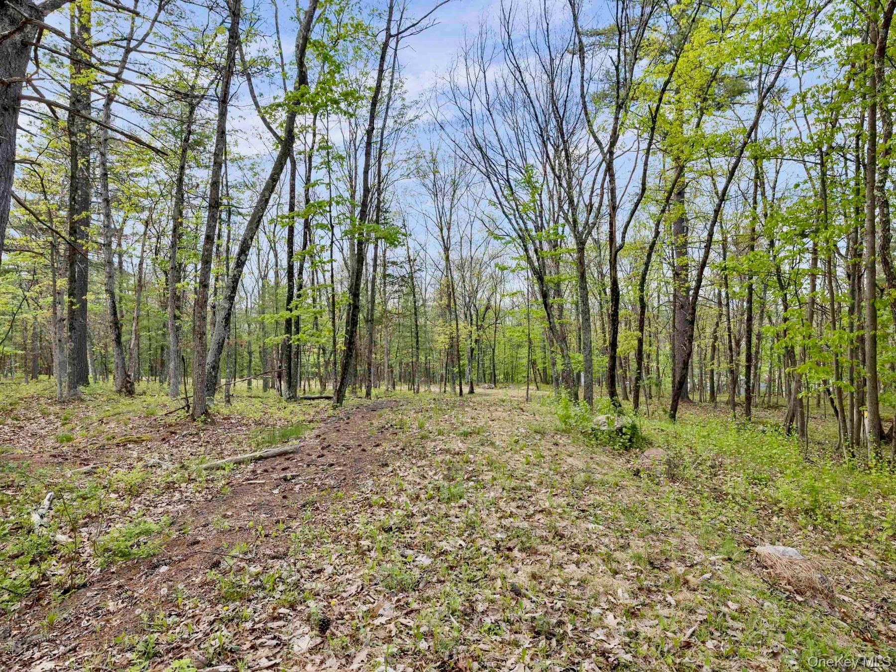 Tbd Route 44/55 Property Photo 3