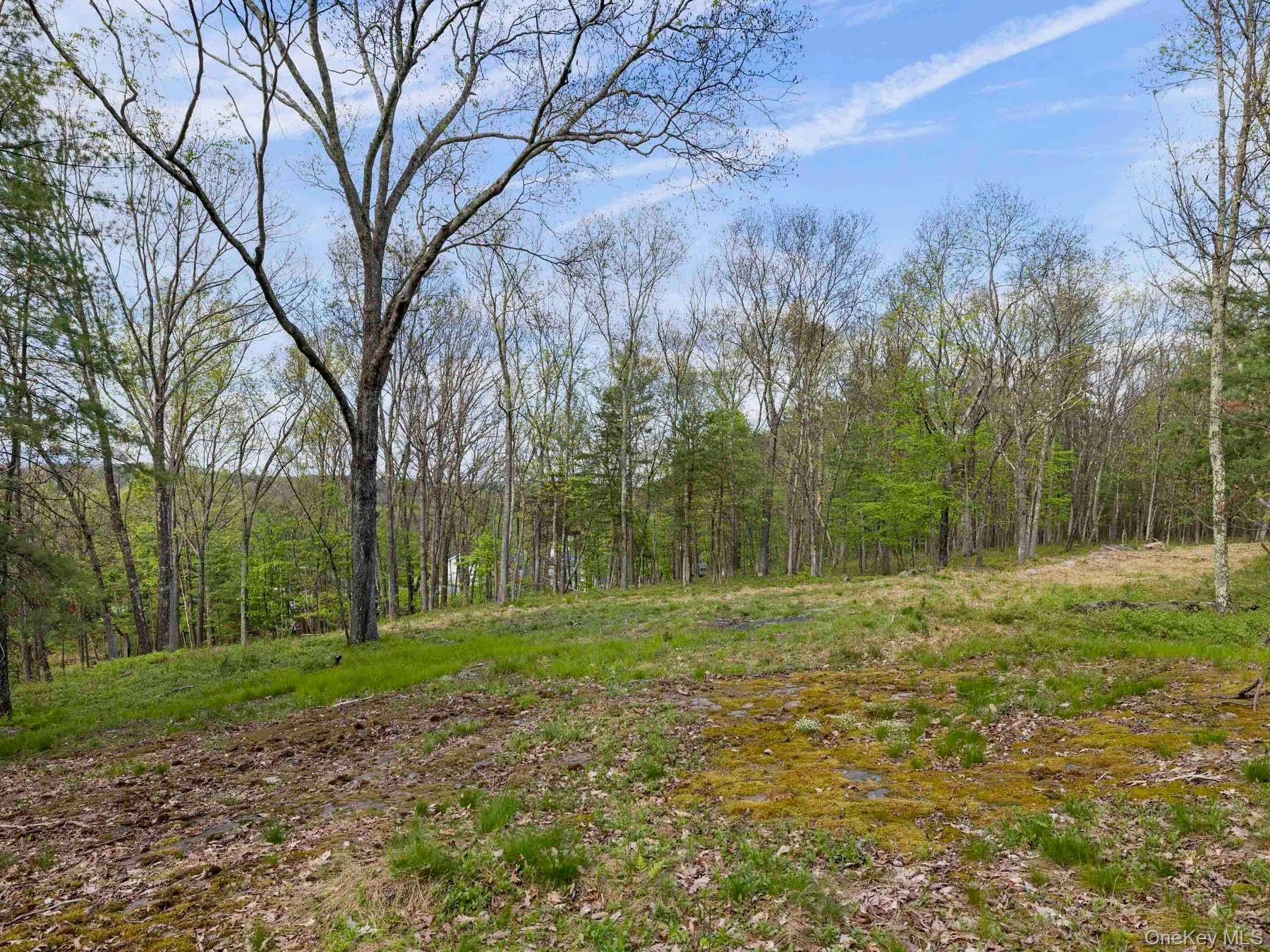 Tbd Route 44/55 Property Photo 4