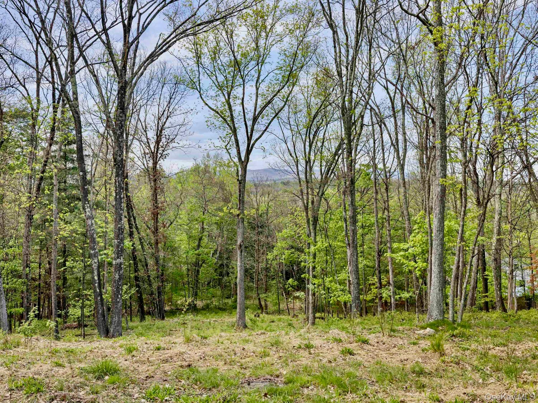 Tbd Route 44/55 Property Photo 5
