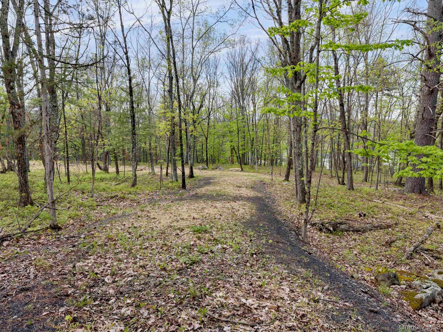 Tbd Route 44/55 Property Photo 6