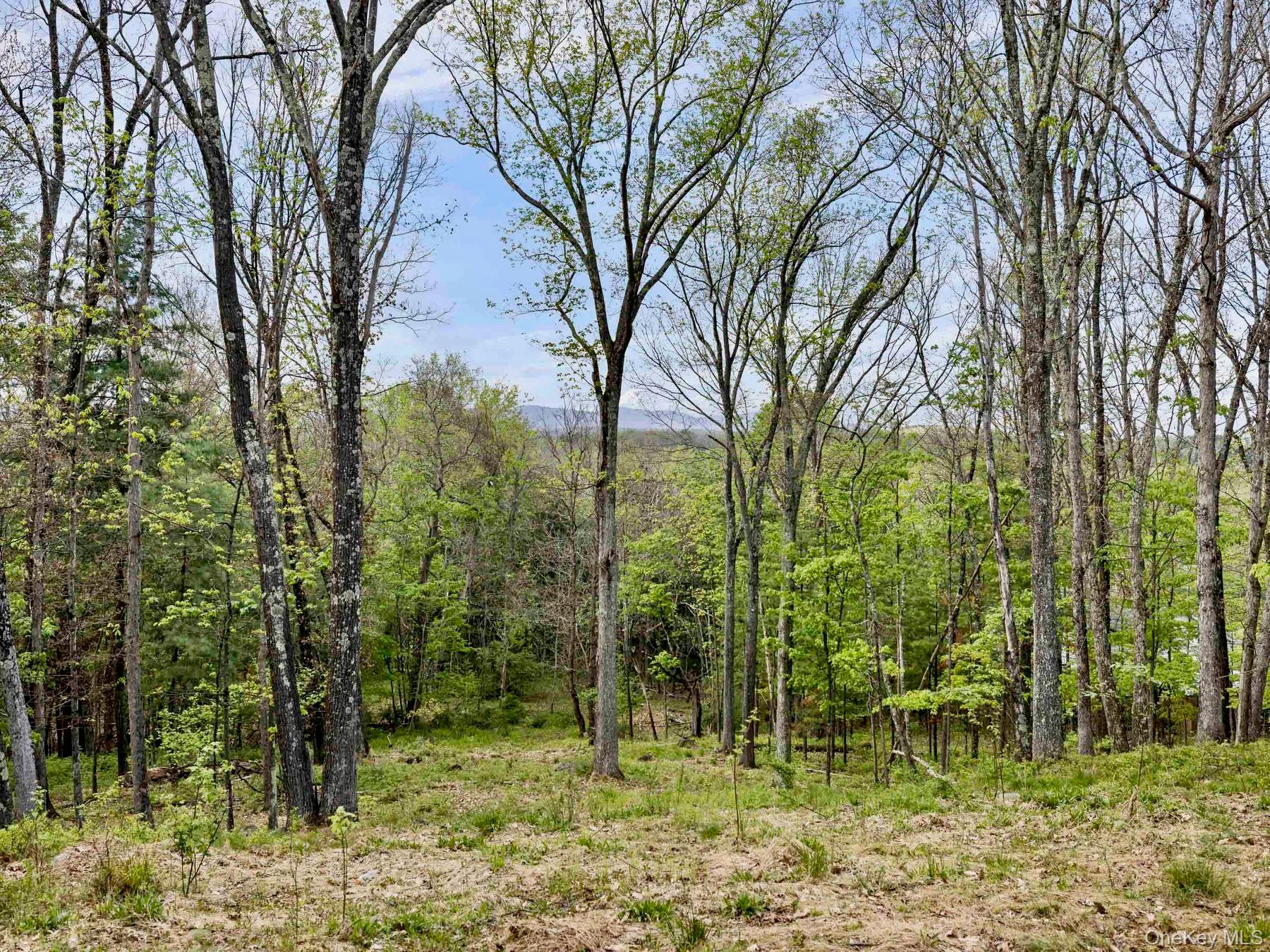 Tbd Route 44/55 Property Photo 8