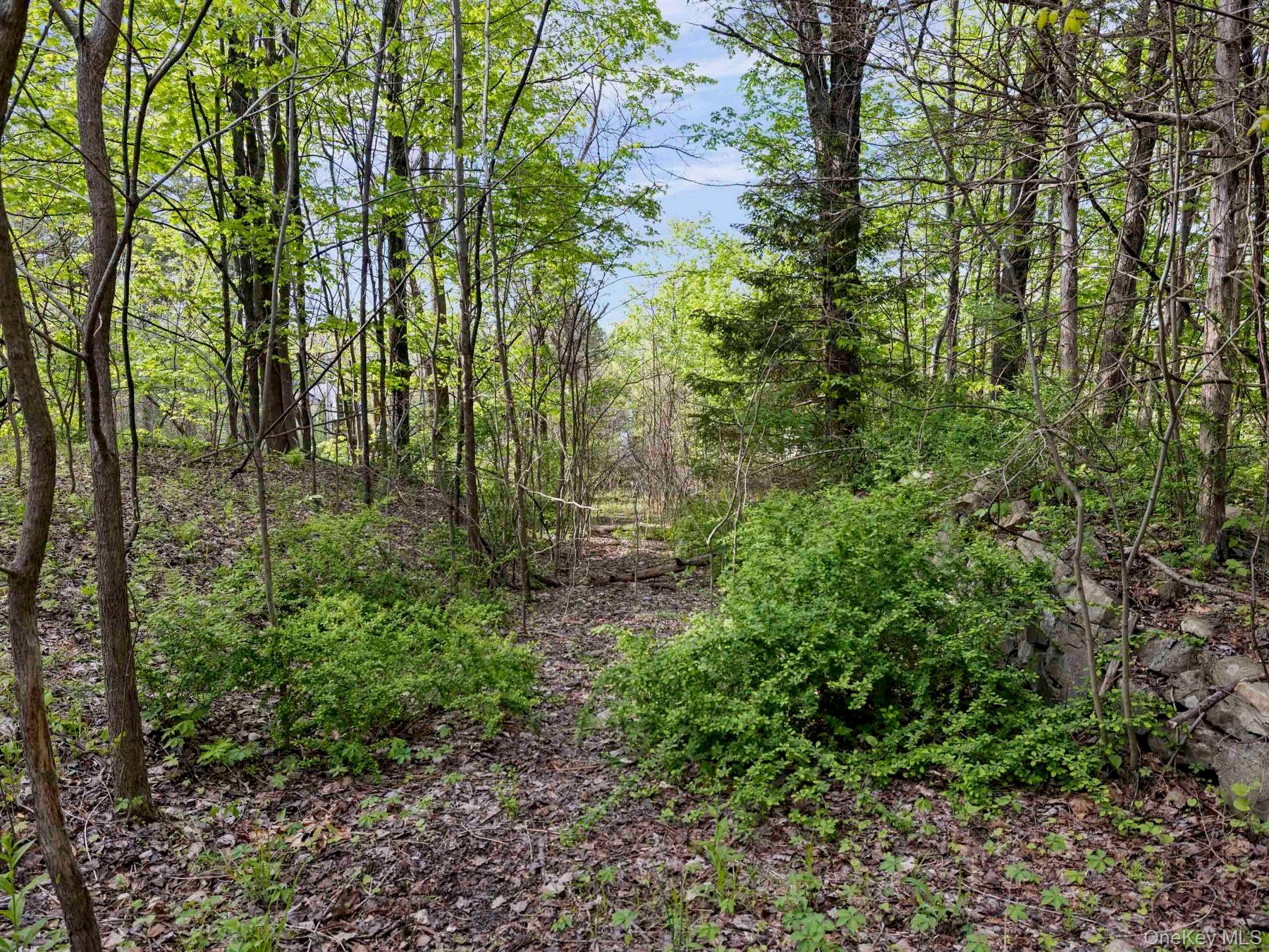 Tbd Route 44/55 Property Photo 9