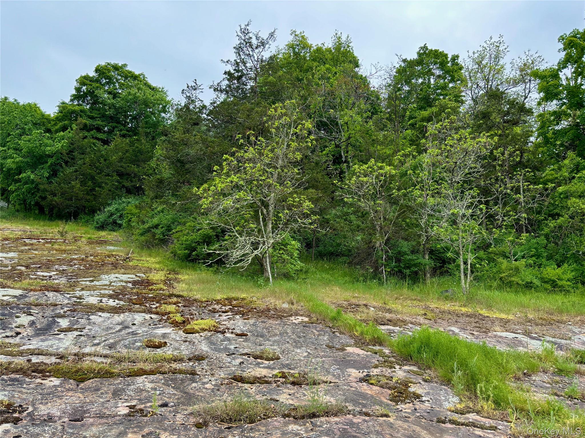 Tbd Route 44/55 Property Photo 10