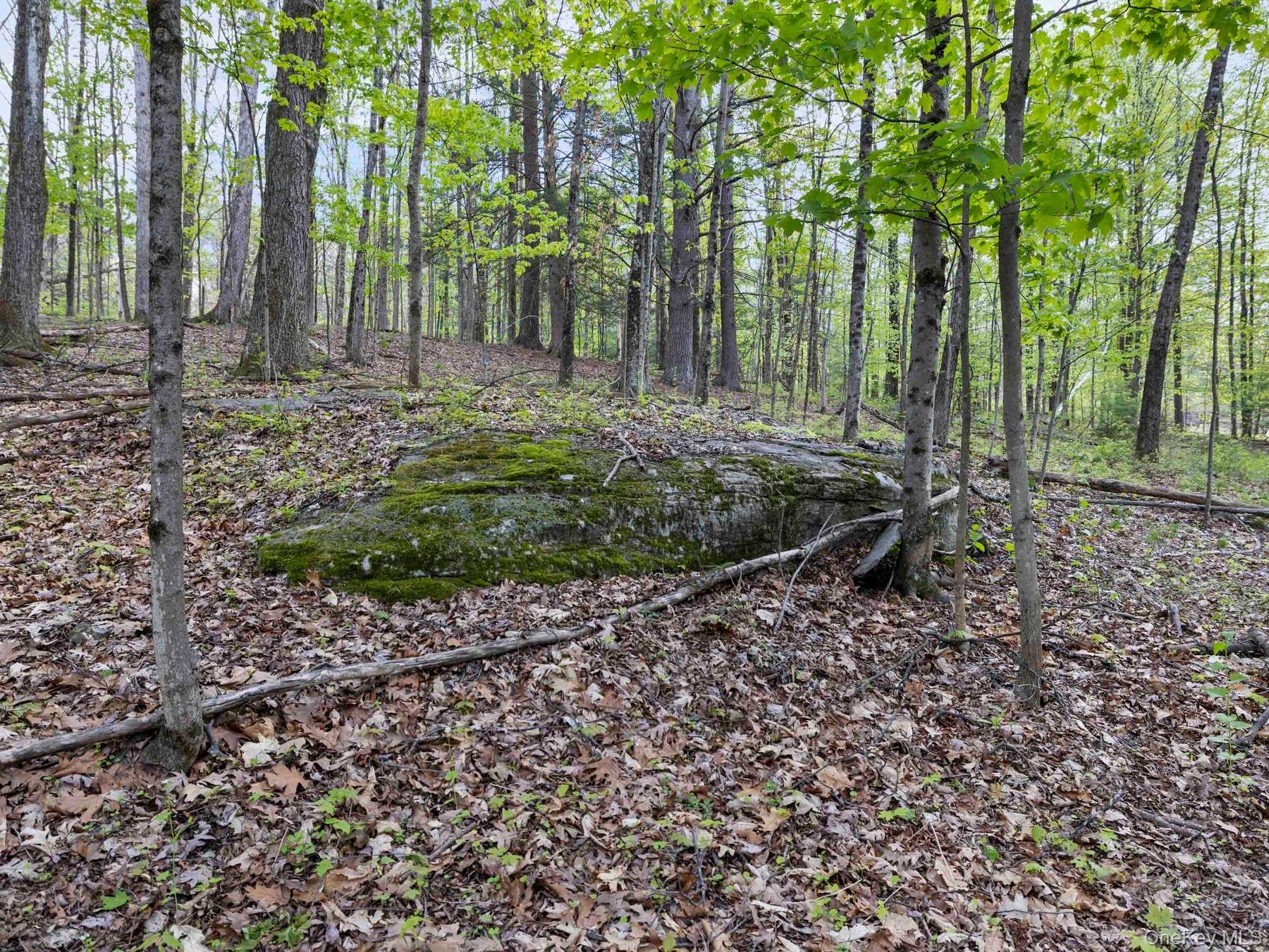 Tbd Route 44/55 Property Photo 11