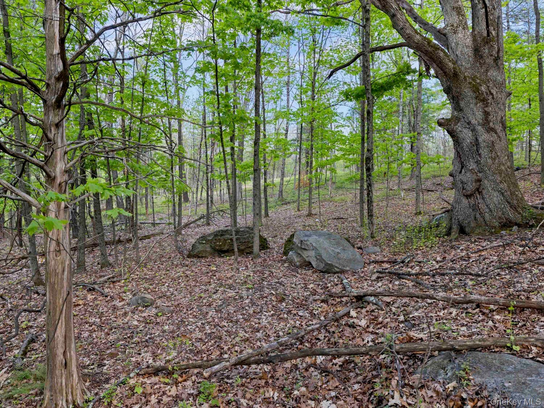 Tbd Route 44/55 Property Photo 12