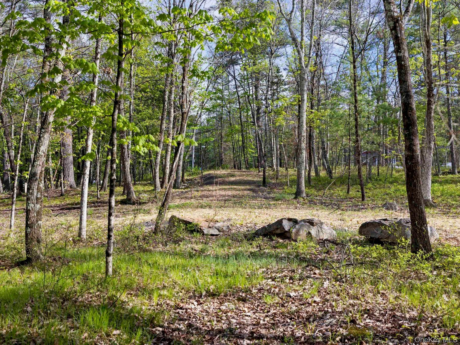 Tbd Route 44/55 Property Photo 13