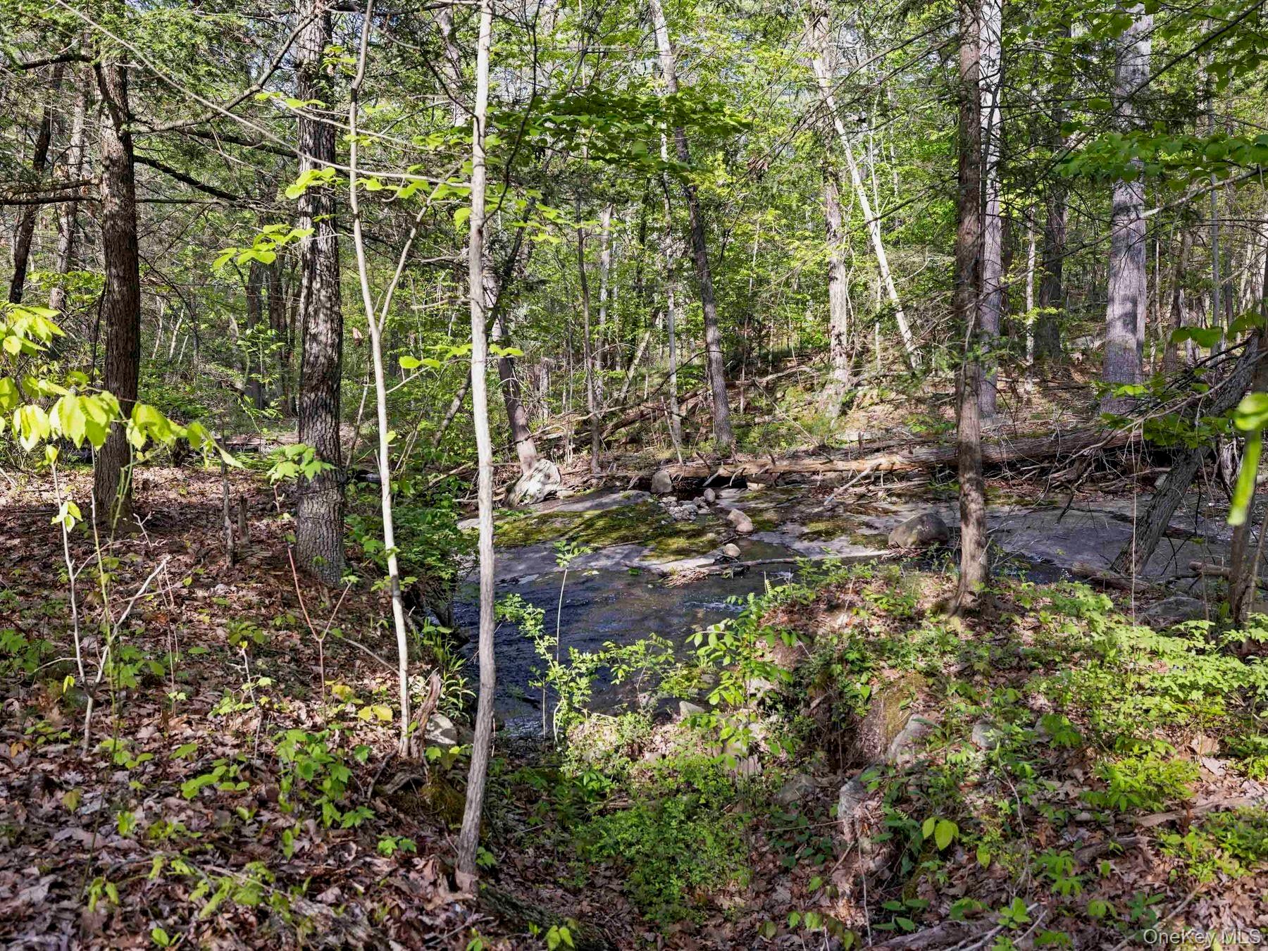 Tbd Route 44/55 Property Photo 15