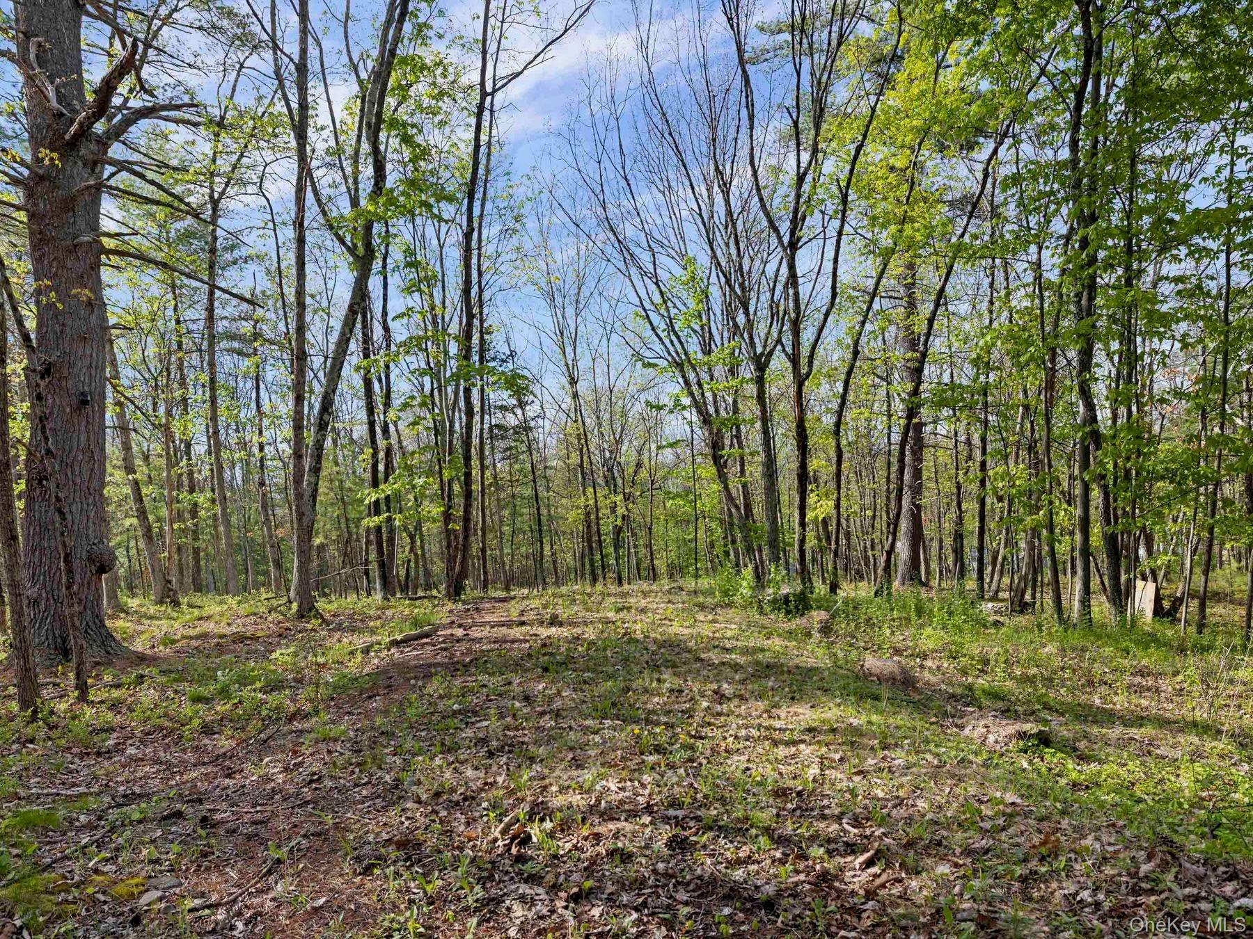 Tbd Route 44/55 Property Photo 17