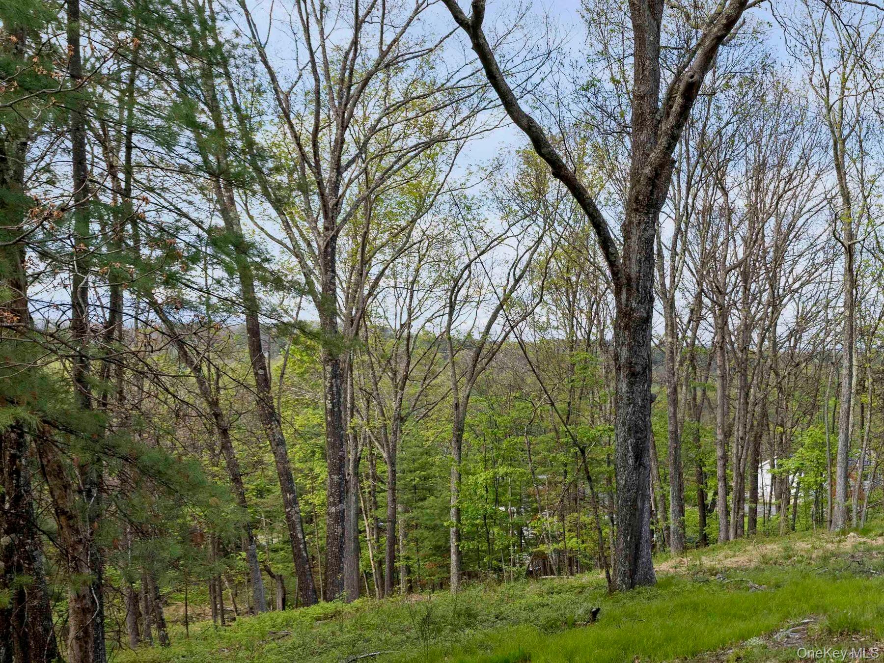 Tbd Route 44/55 Property Photo 18