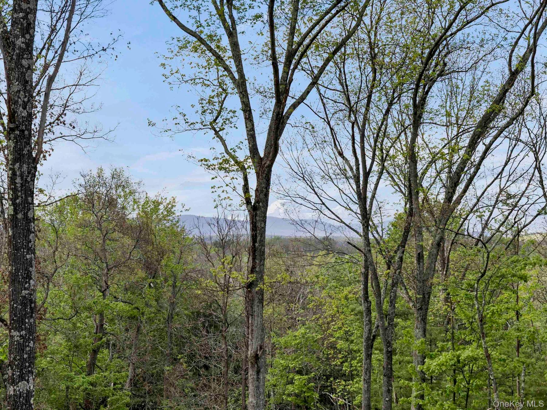 Tbd Route 44/55 Property Photo 19