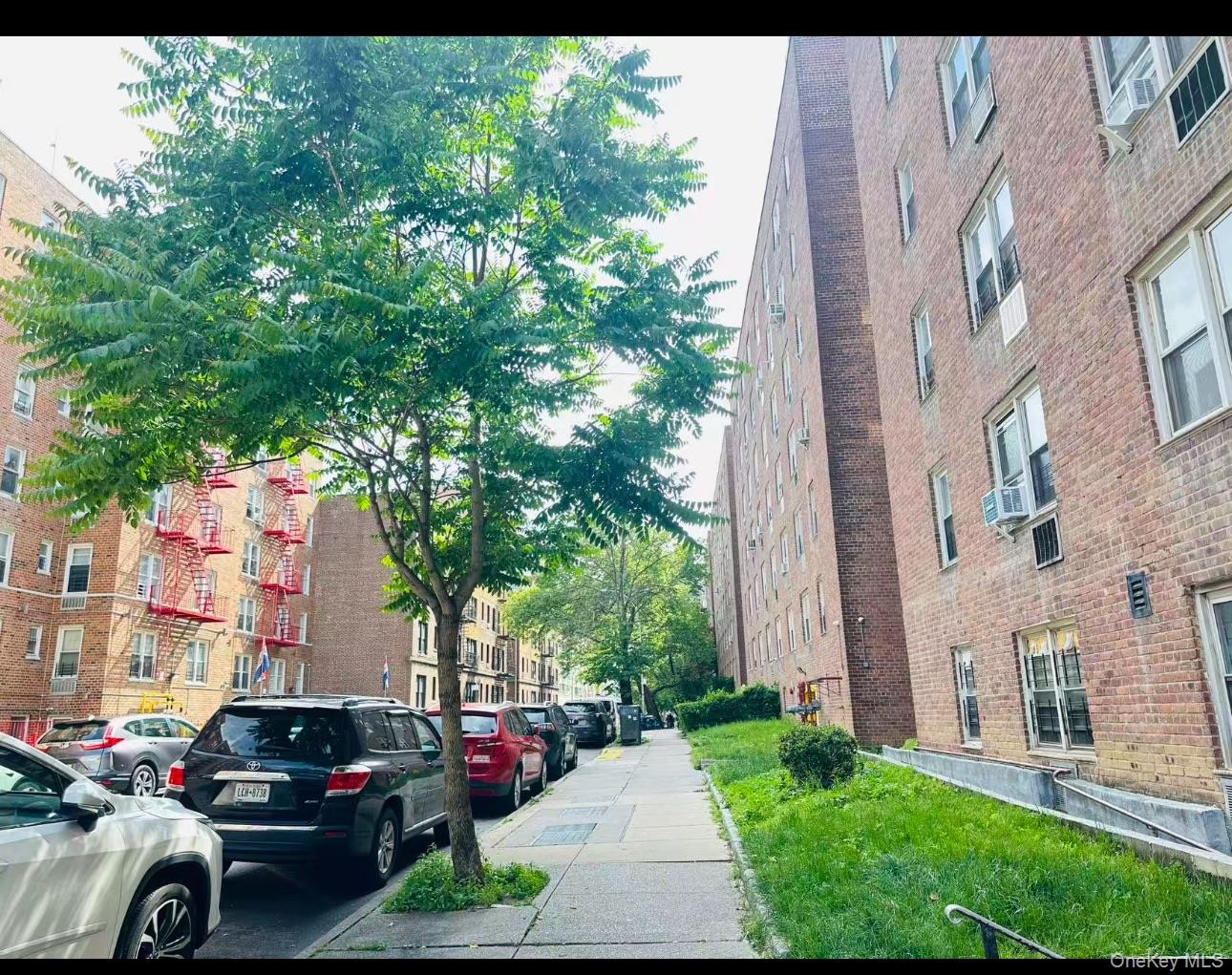 140-65 Beech Avenue 4h Property Photo 6