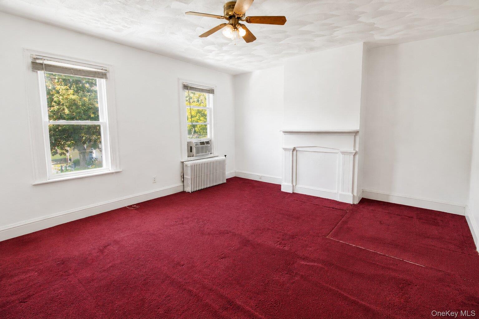 32 Hasbrouck Street Property Photo 21