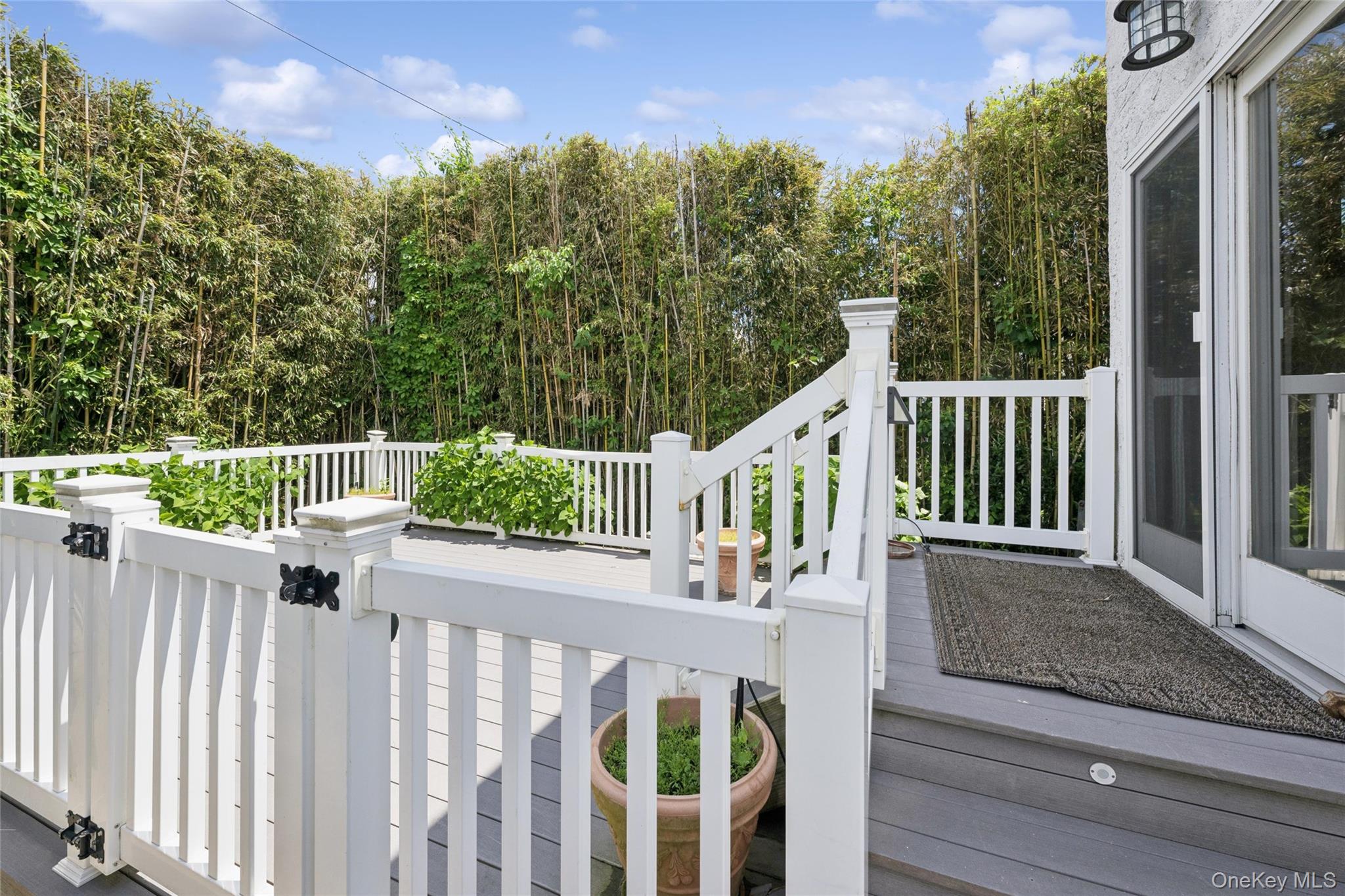 8 Hastings Road Property Photo 20