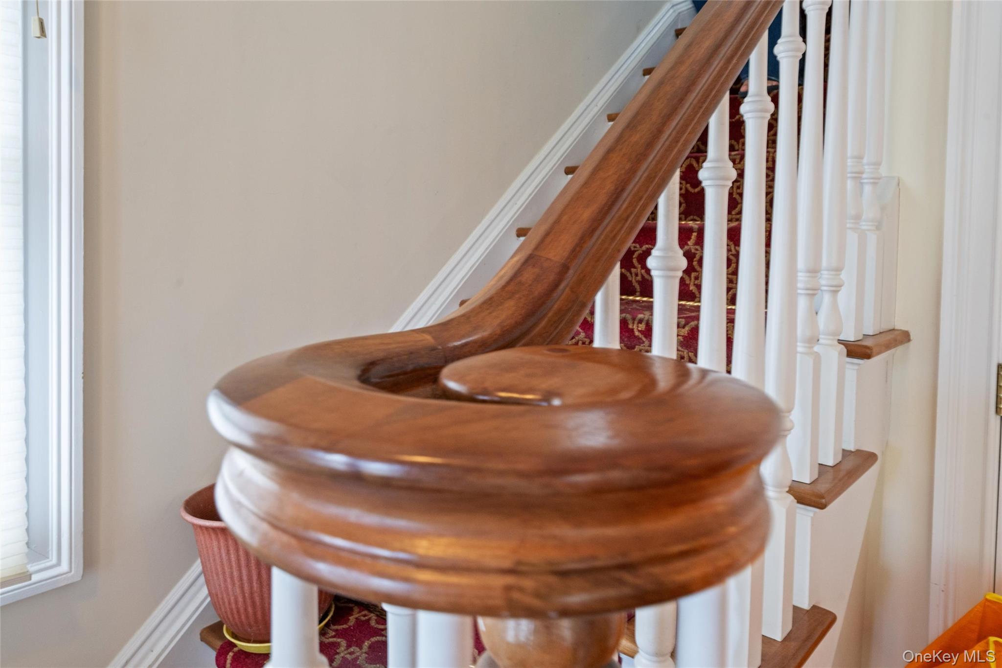 8 Hastings Road Property Photo 24