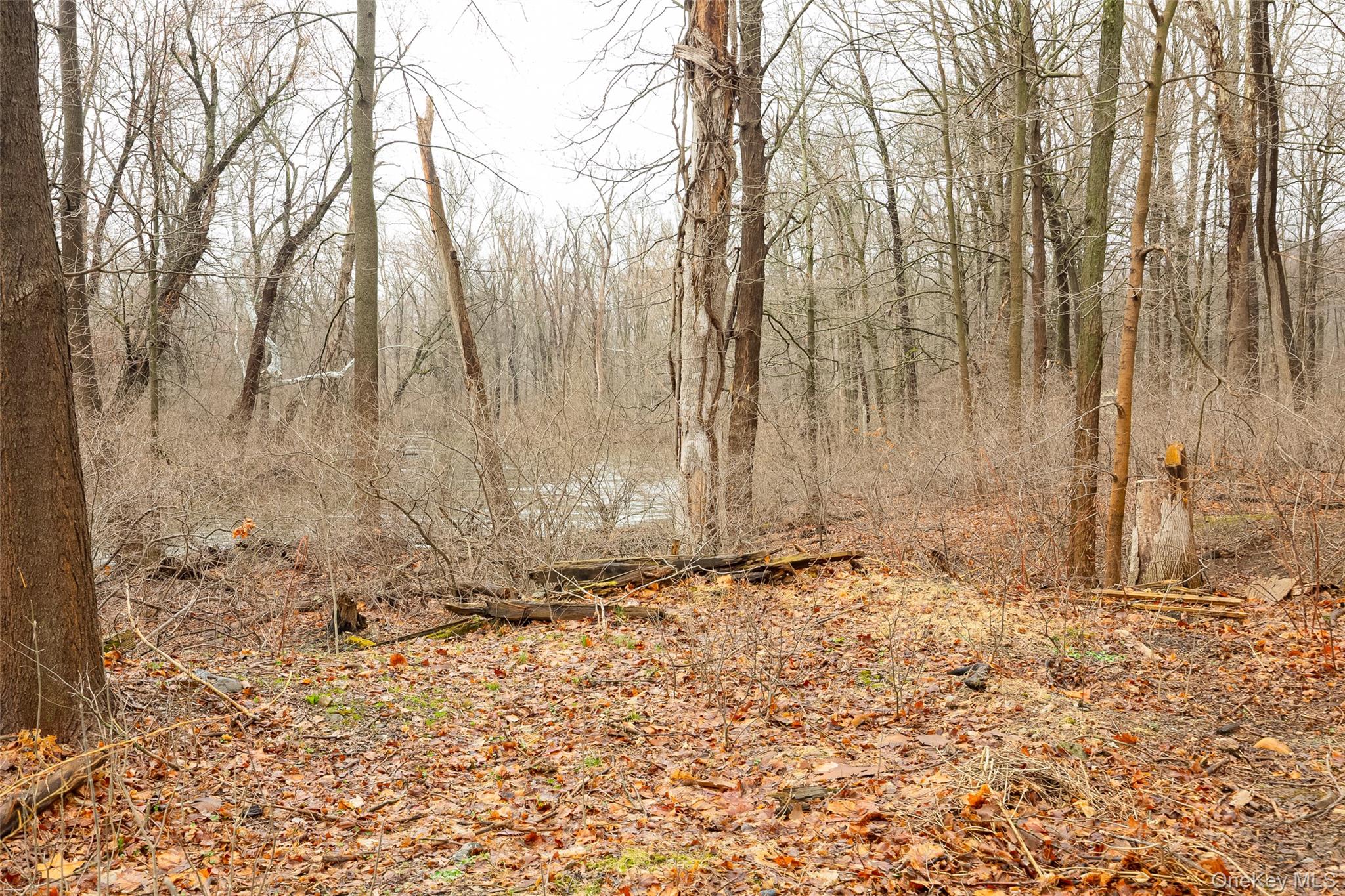 21 Old Town Road Property Photo 9