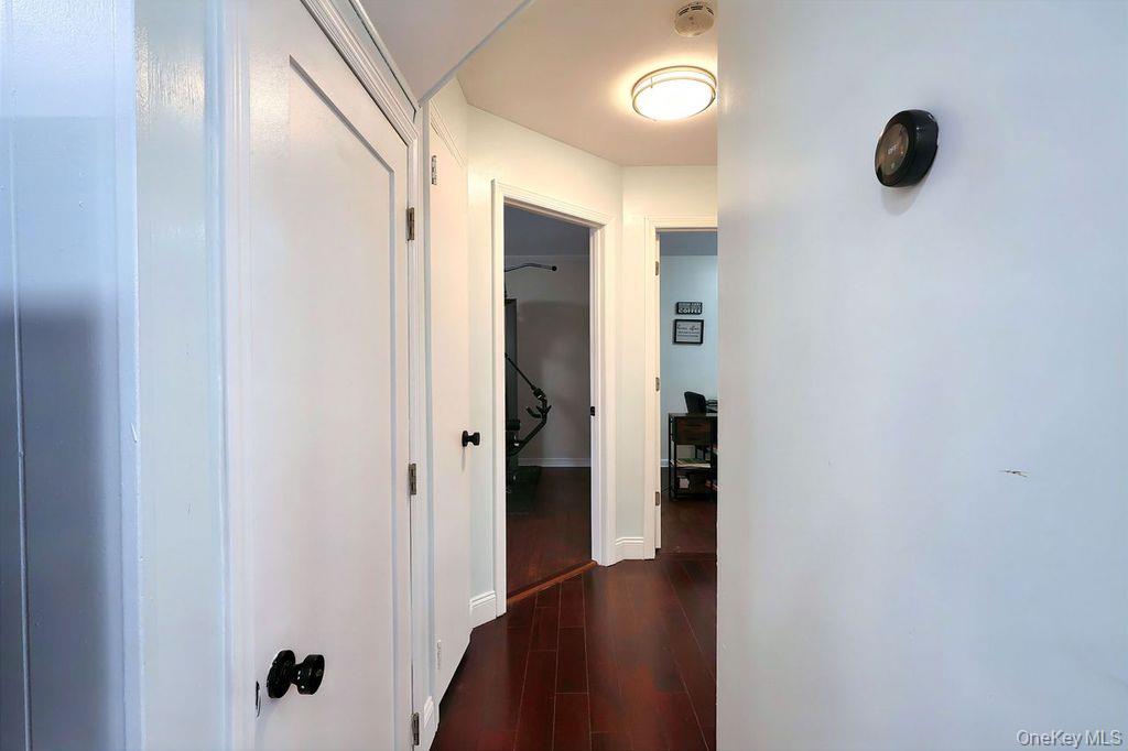 11 Chichester Rd Property Photo 23