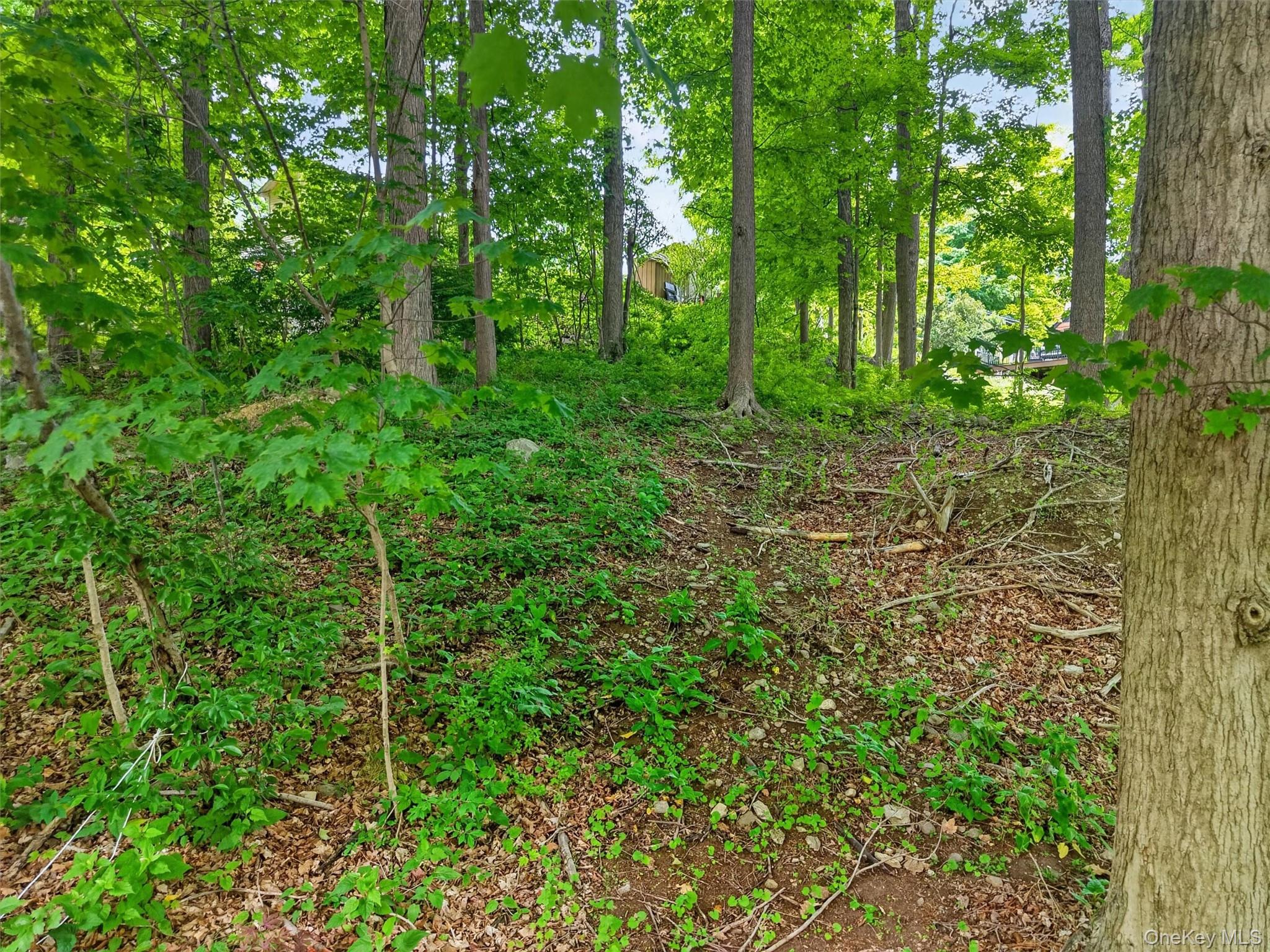 154 Gallows Hill Road Property Photo 4