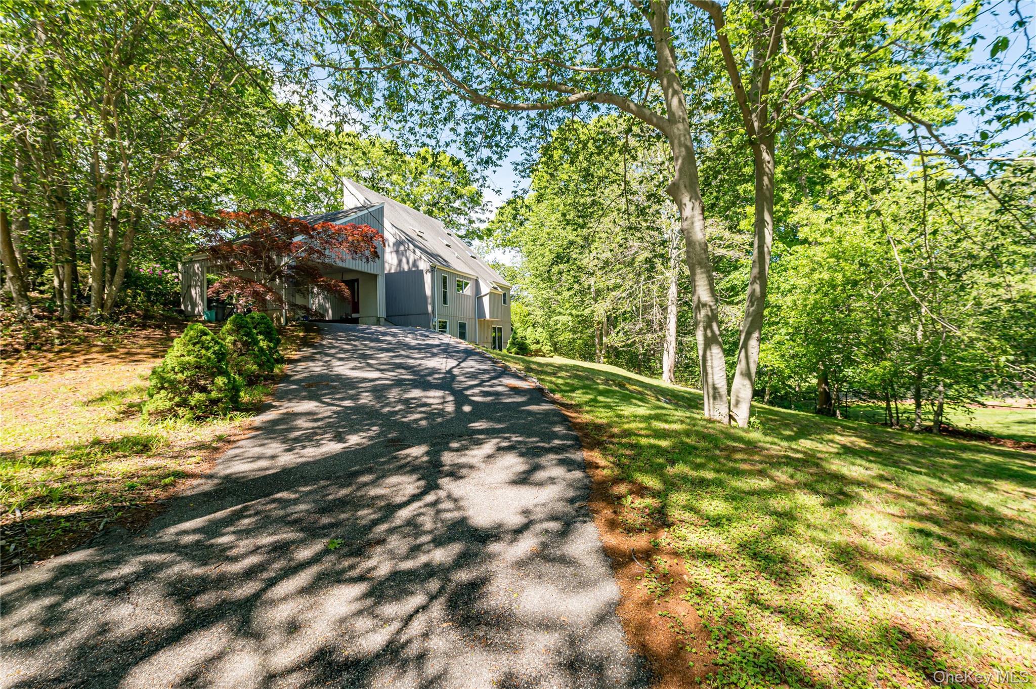 14 Sylvester Road Property Photo 2
