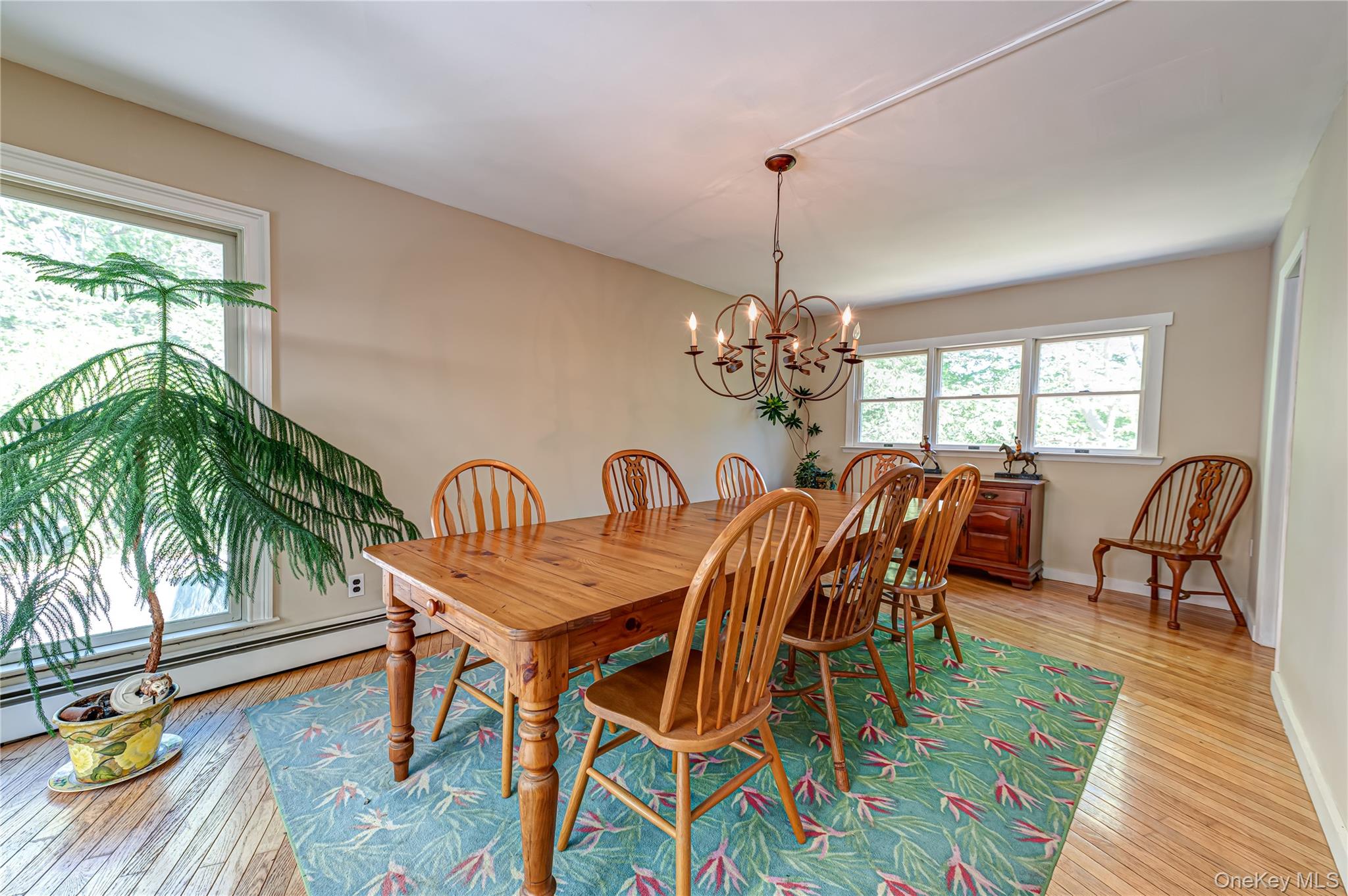 14 Sylvester Road Property Photo 6