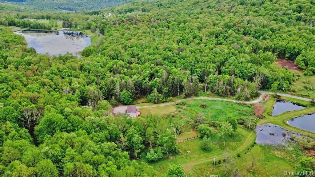 308 William Brown Road Property Photo 6