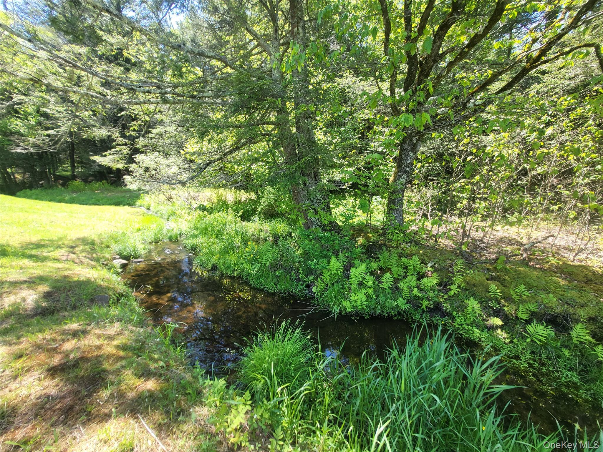 308 William Brown Road Property Photo 30