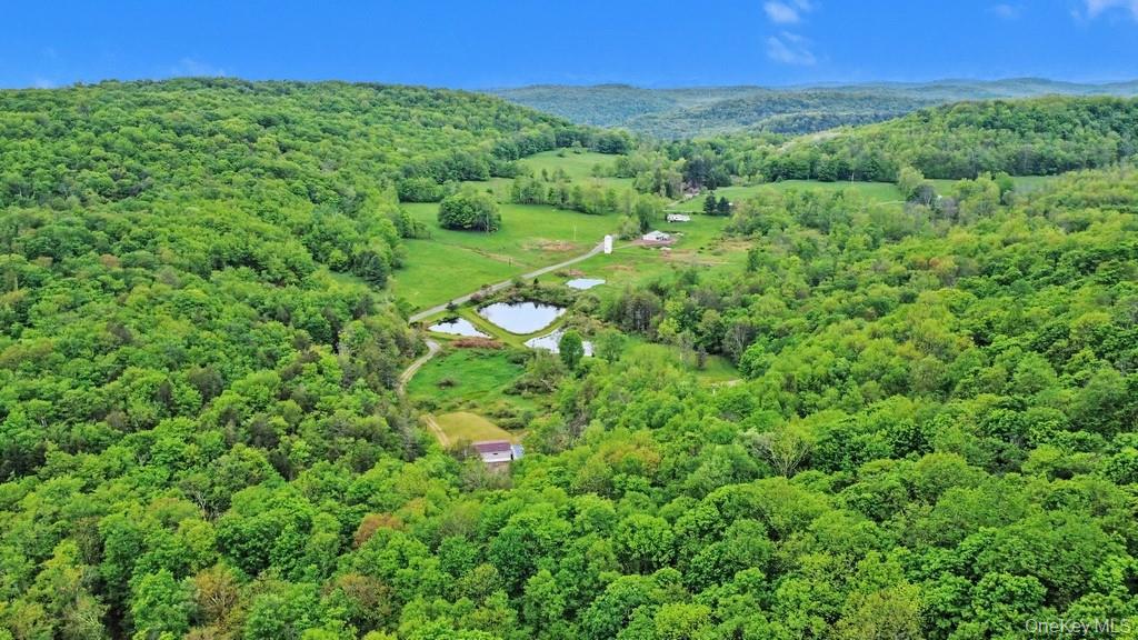 308 William Brown Road Property Photo 33