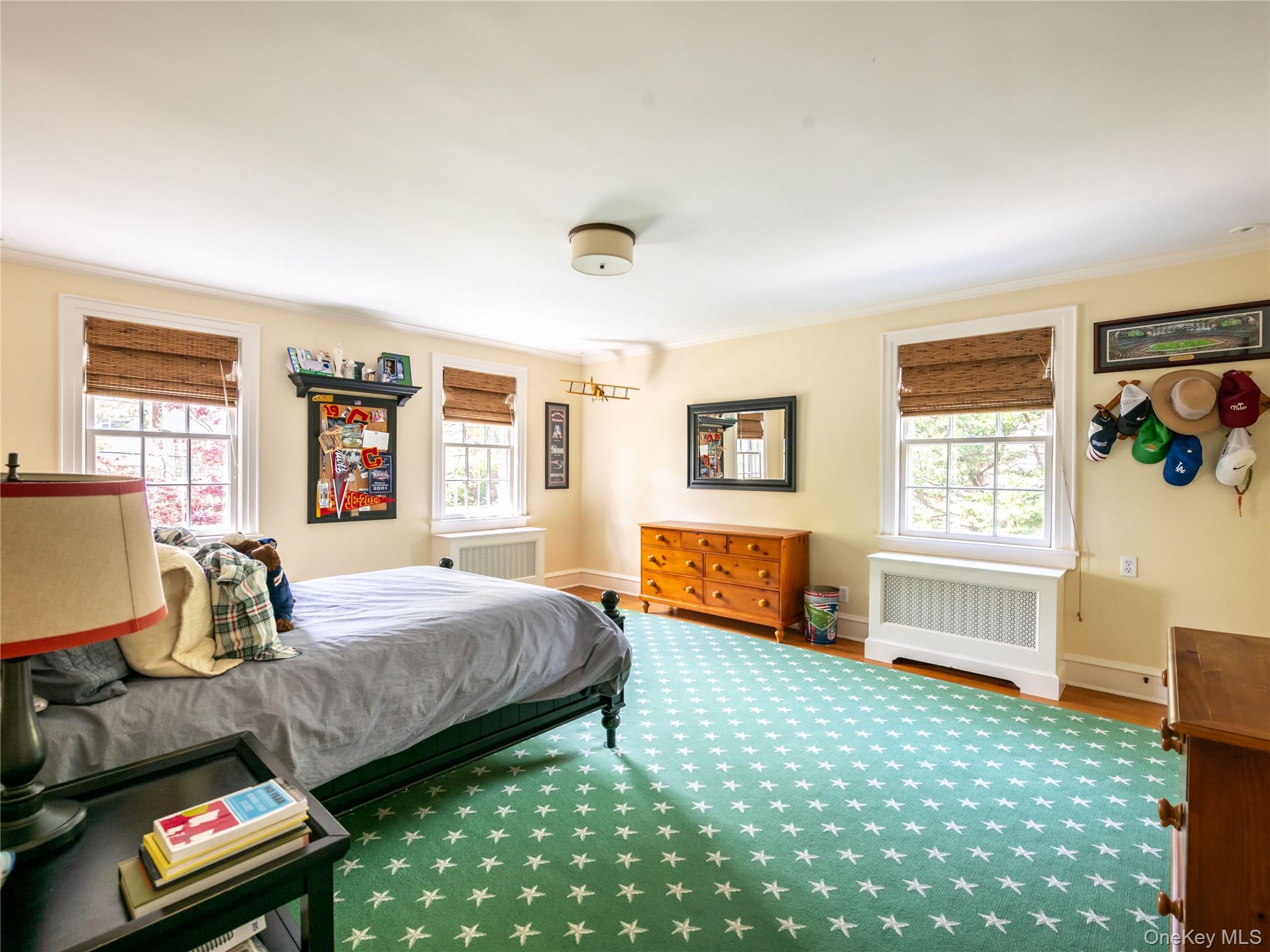 170 Manhasset Woods Road Property Photo 23