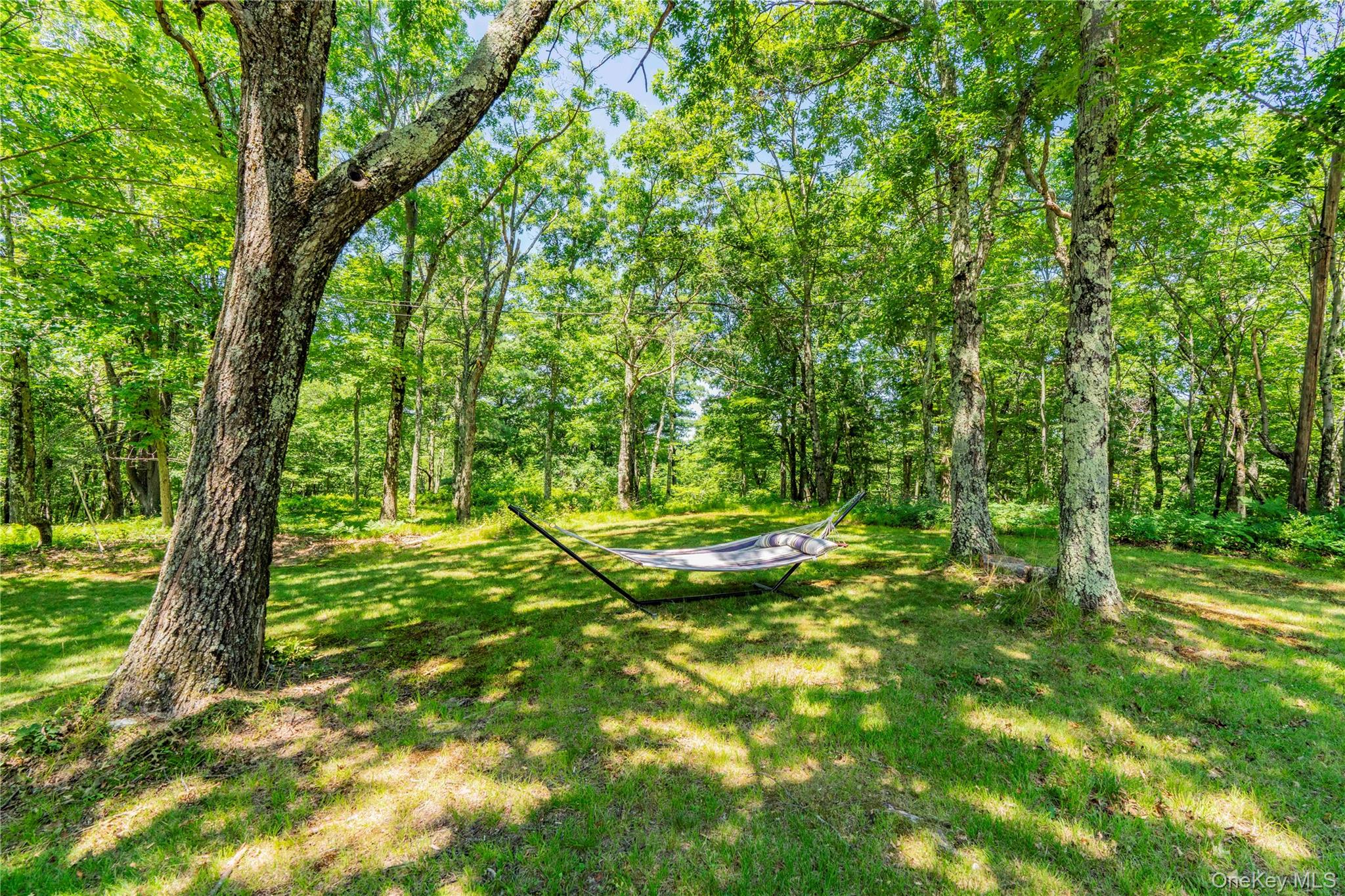 695 Wolf Hill Road Property Photo 13