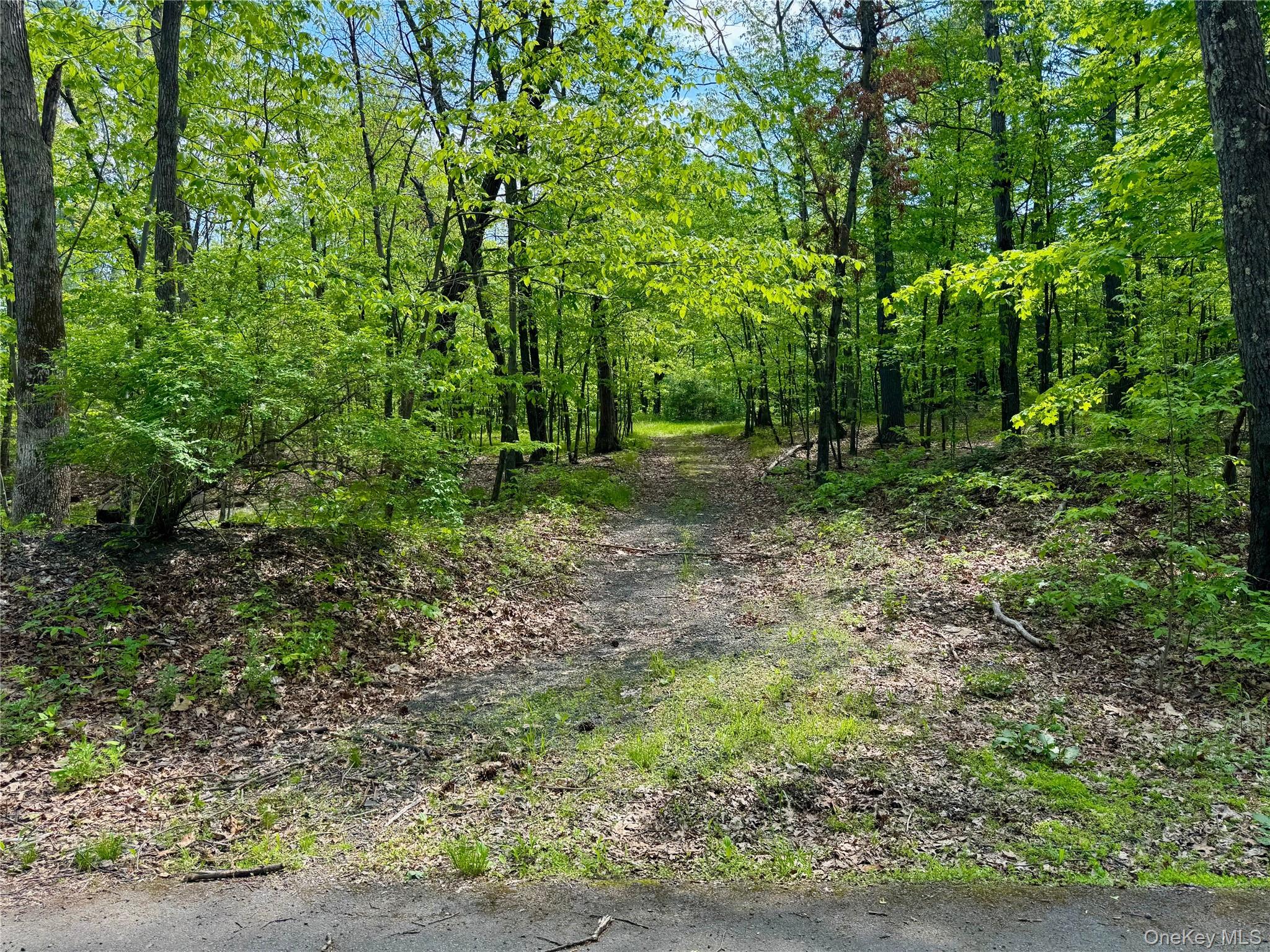 Tbd Bill Matter Road Property Photo 4