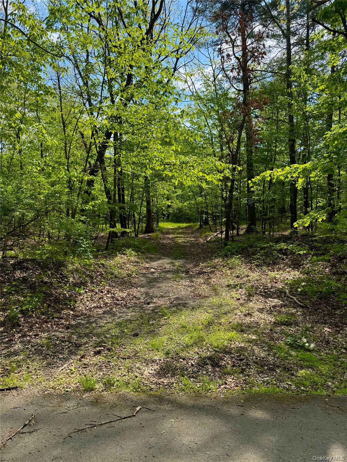 Tbd Bill Matter Road Property Photo 5